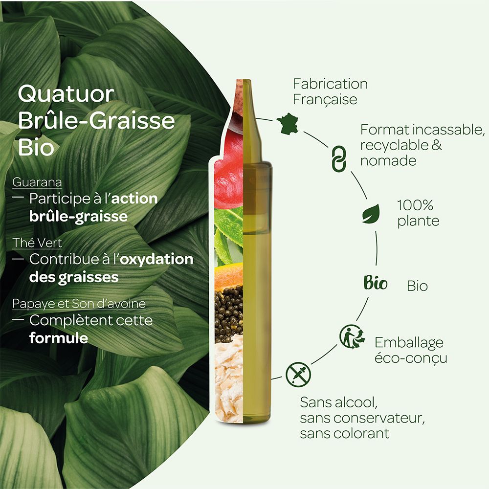 Représentation graphique des ingrédients et des propriétés. Contient des informations sur le guarana, le thé vert, la papaye et l'avoine.