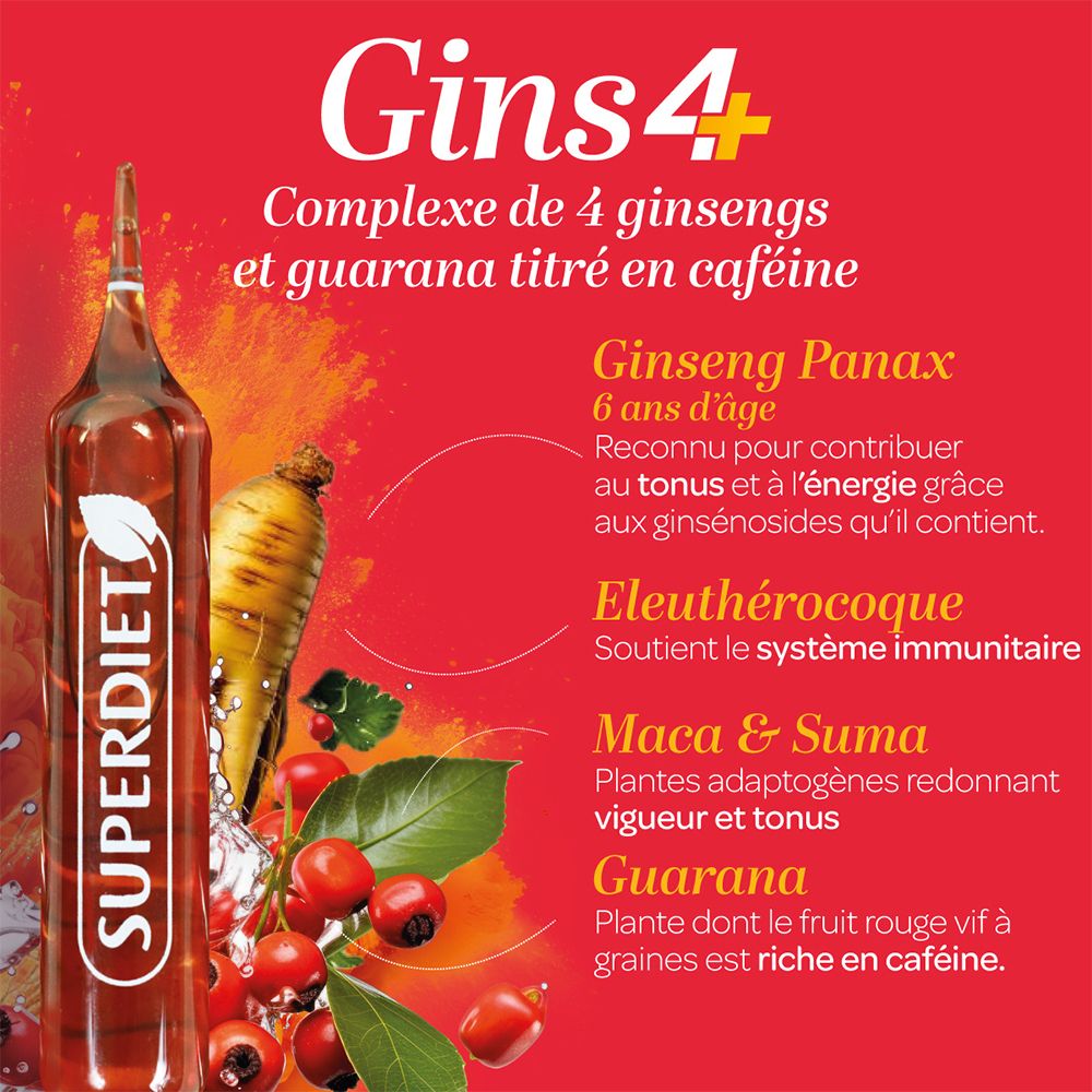 Ampoule Gins4 avec ingrédients : Ginseng Panax, Eleuthérocoque, Maca & Suma, Guarana. Fond rouge.