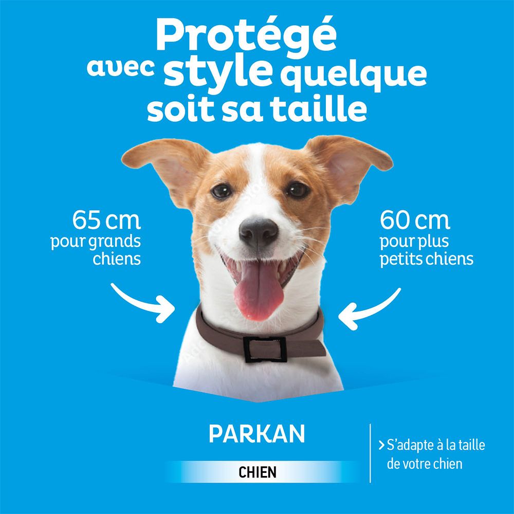 Chien avec collier. Texte: Adapté à toutes les tailles. 65 cm pour grands chiens, 60 cm pour petits chiens. Parkan.