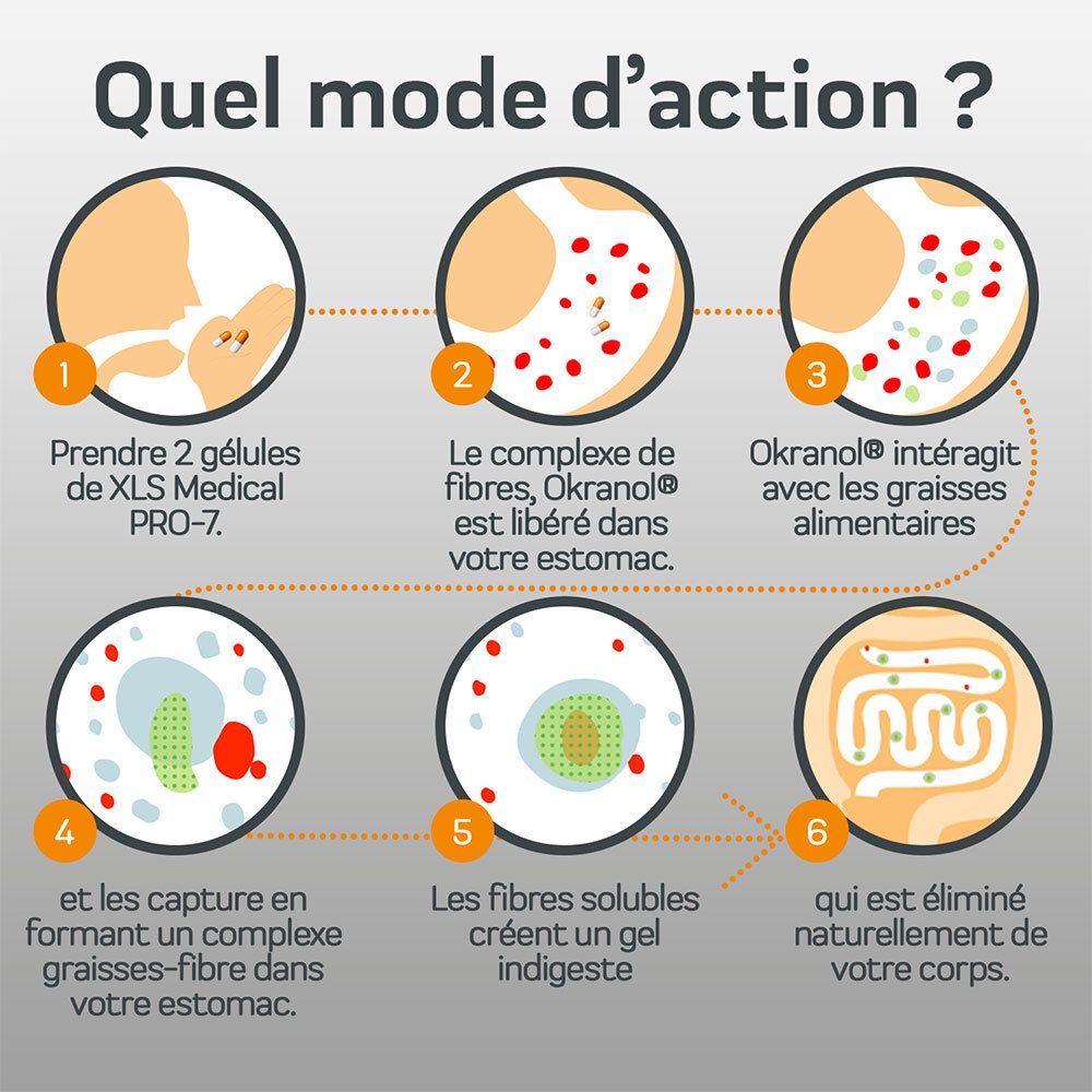 Mode d'action de XLS MEDICAL PRO-7. 6 étapes de la capture des graisses.