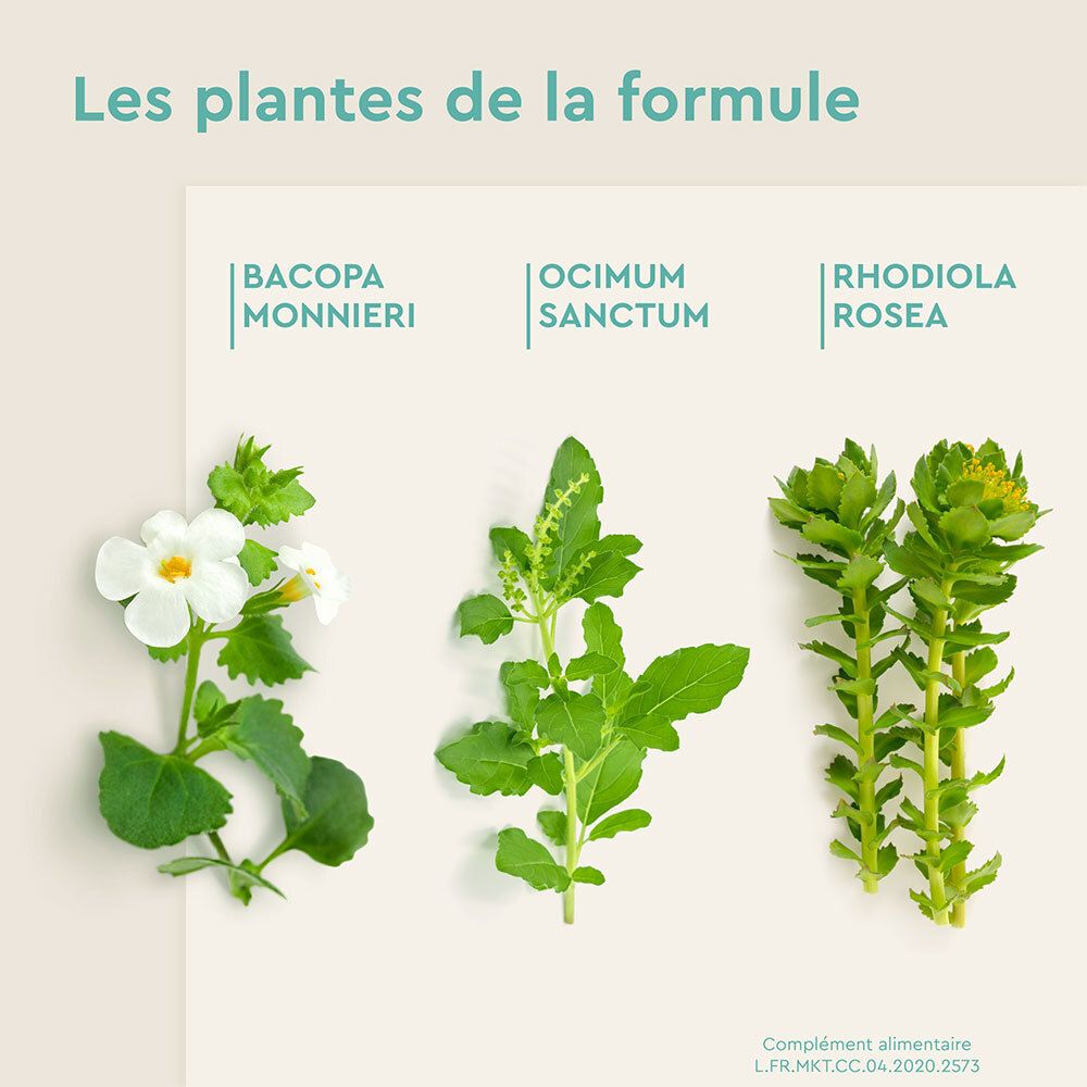 EuphytoseStress® Concentration -Stress ,difficulté de concentration - Bacopa Monnieri et Rhodiola Rosea 2 x 30 comprimés