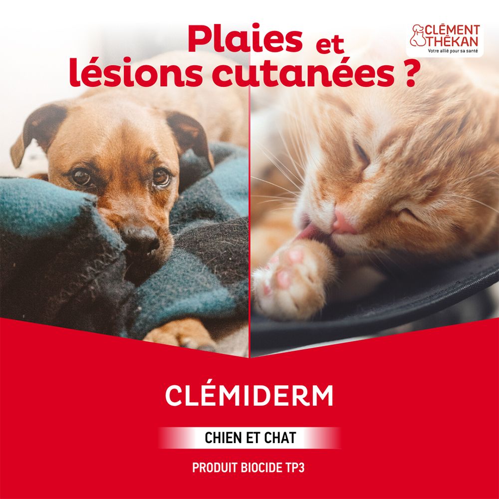 Clément Thékan Clémiderm Hydrogel Spray