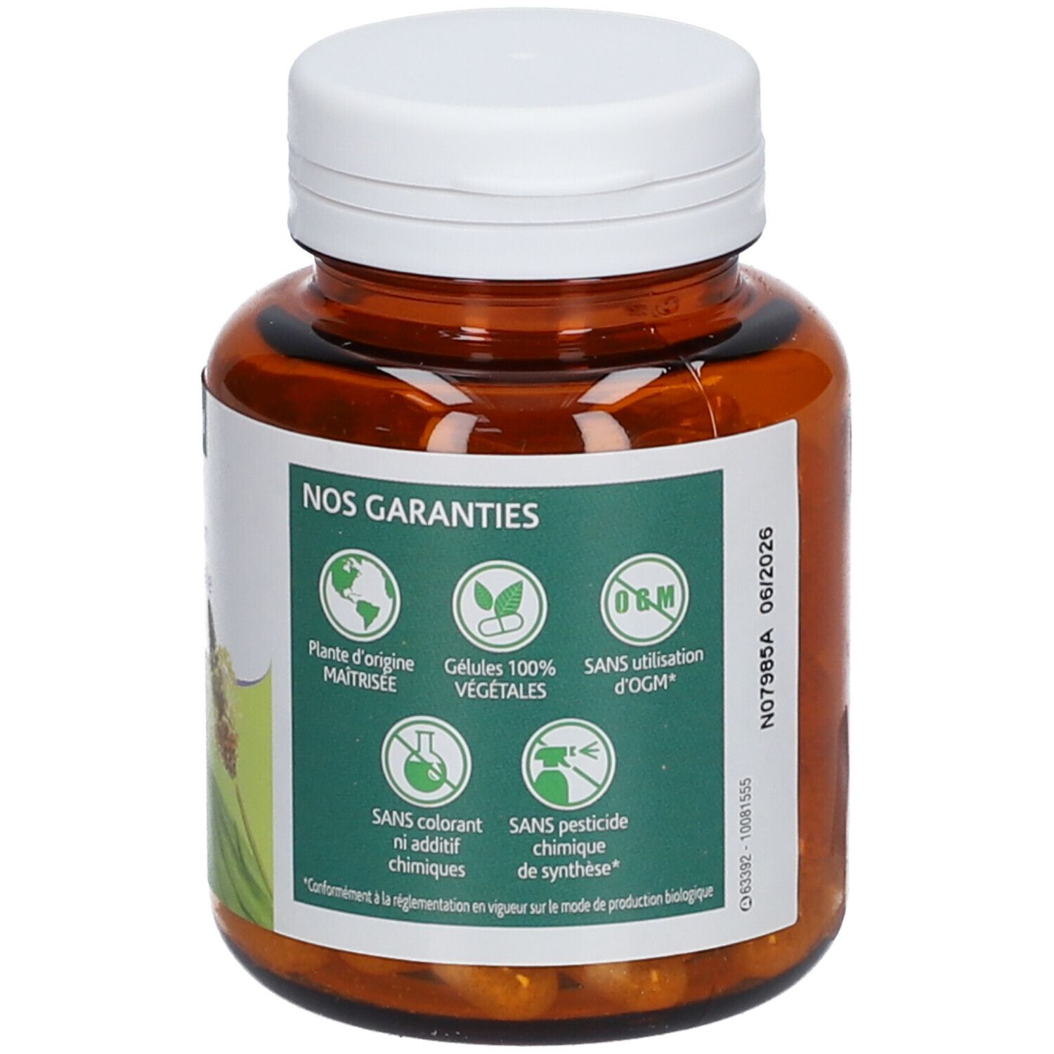 Naturland Bien-être digestif Psyllium Blond BIO - Végécaps
