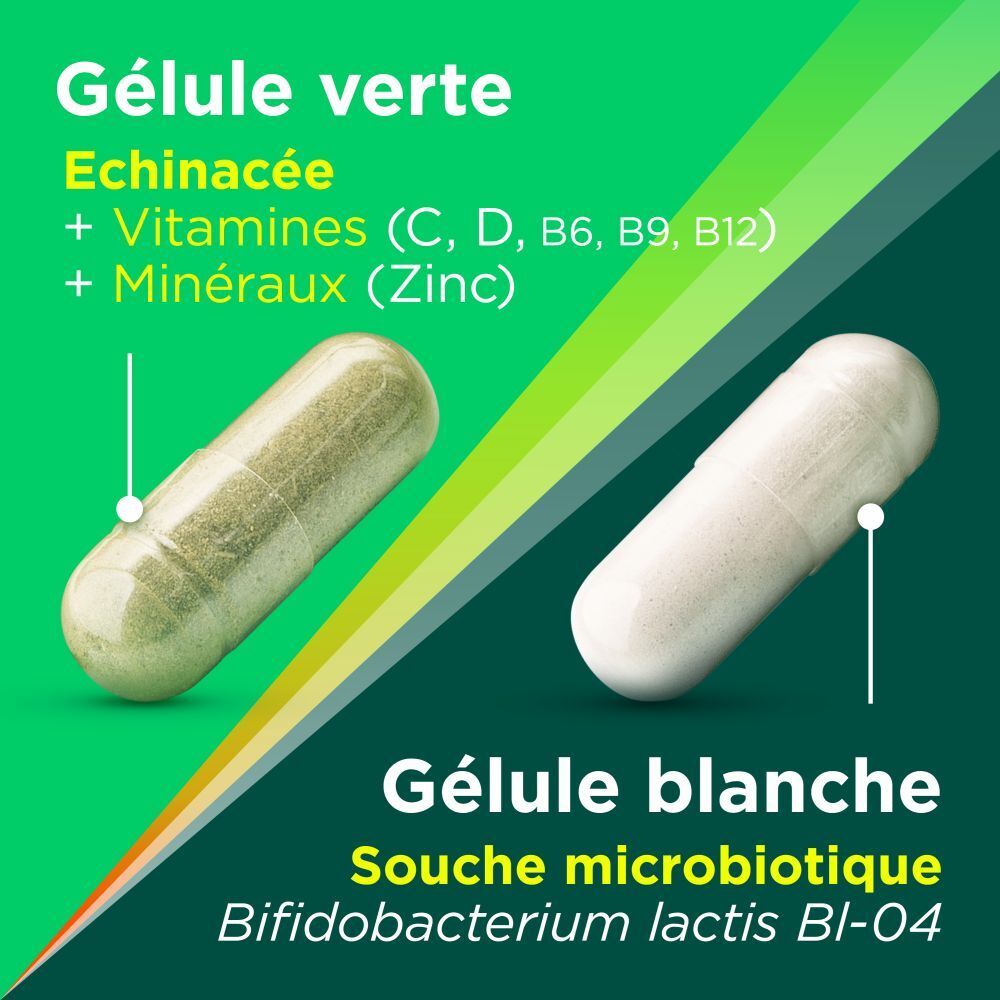 Deux gélules : gélule verte avec échinacée, gélule blanche avec culture probiotique. Texte : Berocca Immunité Défense.