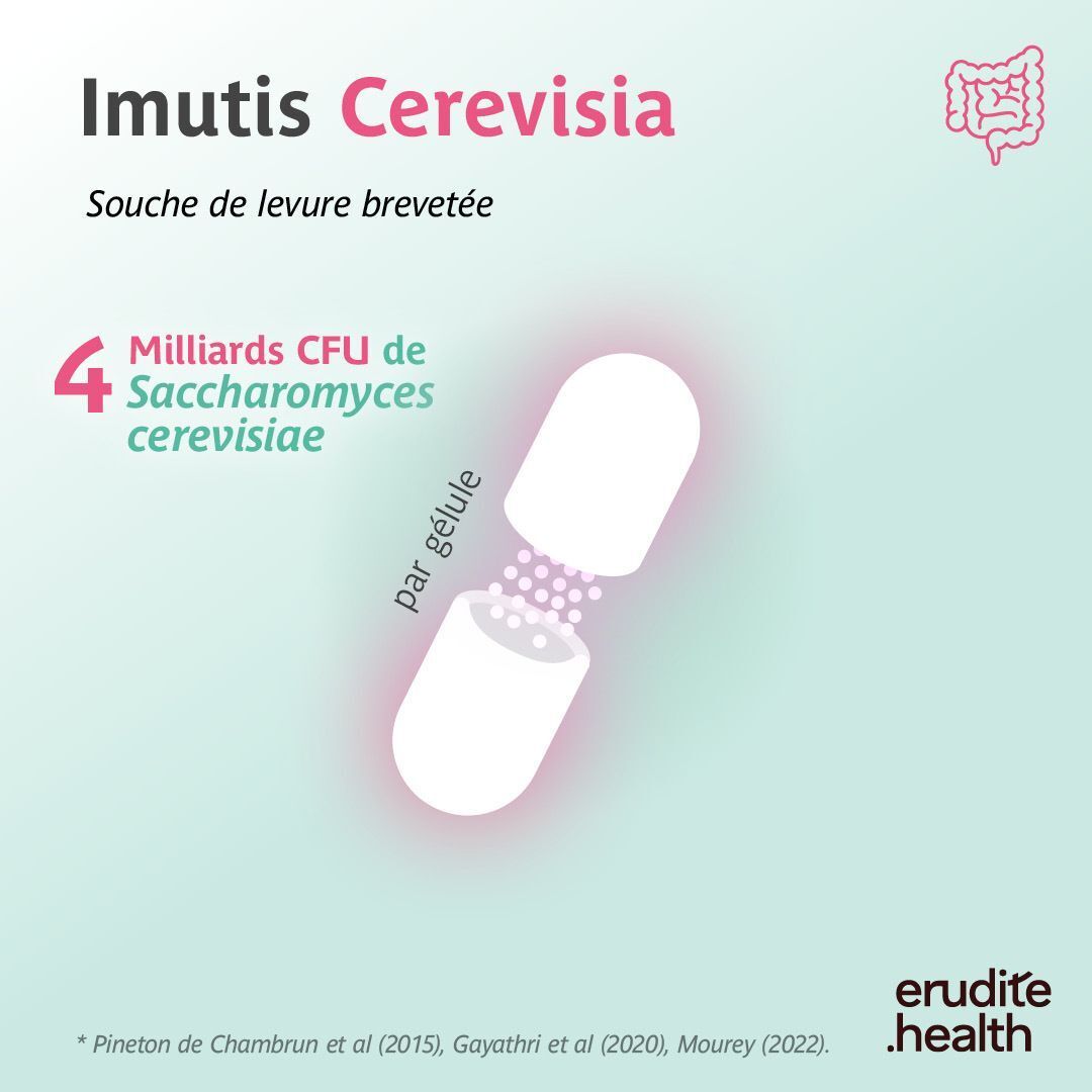 Cerevisia : 4 milliards UFC de Saccharomyces cerevisiae par gélule.