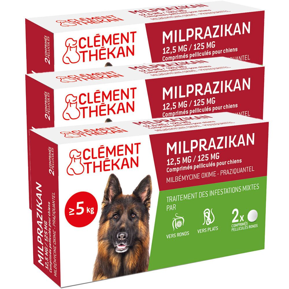 Clement Thekan Traitement Des Vers Plats Et Ronds Chien
