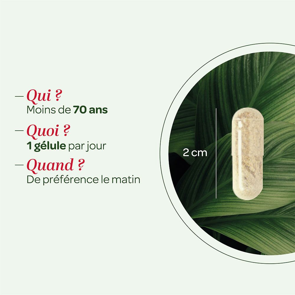 SUPER DIET Levure riz rouge Bio
