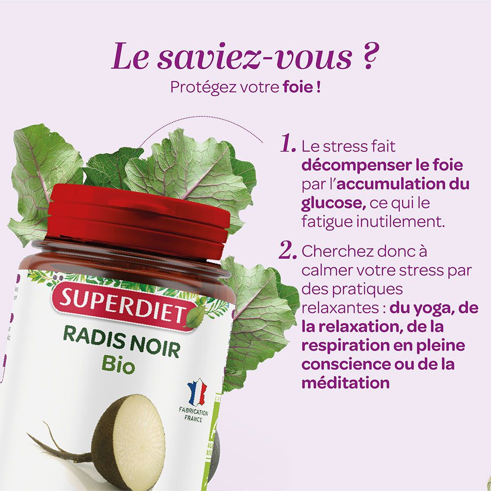 SUPER DIET Radis noir Bio