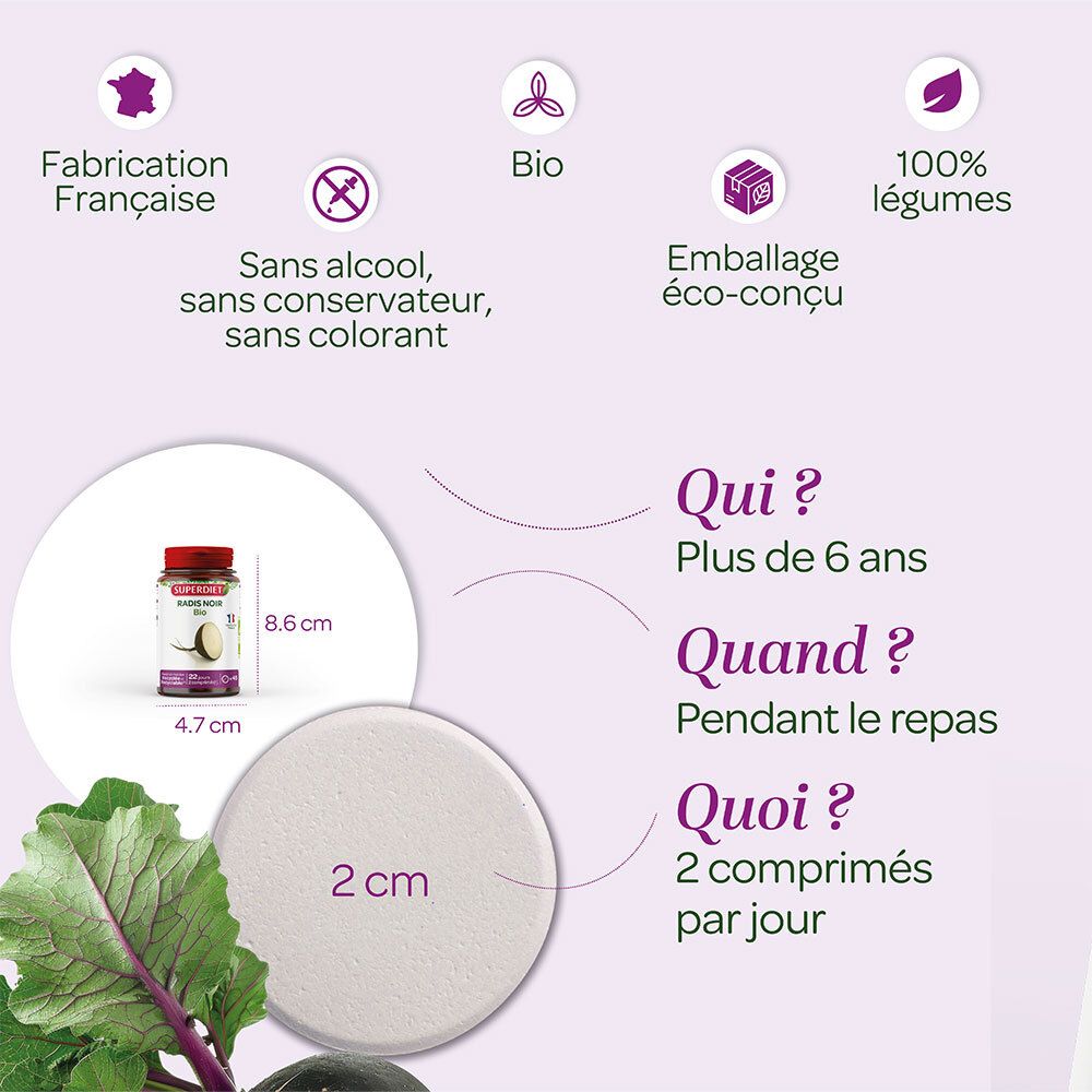 SUPER DIET Radis noir Bio
