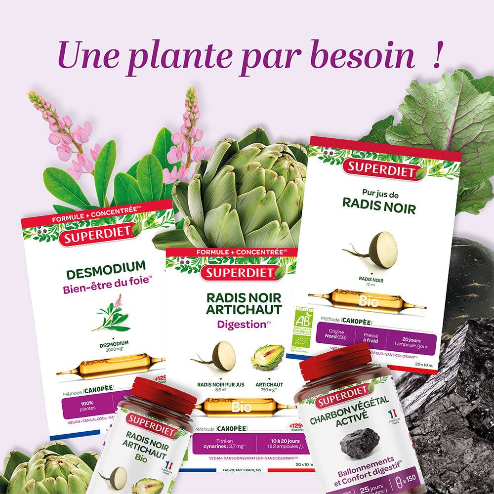SUPER DIET Radis noir Bio