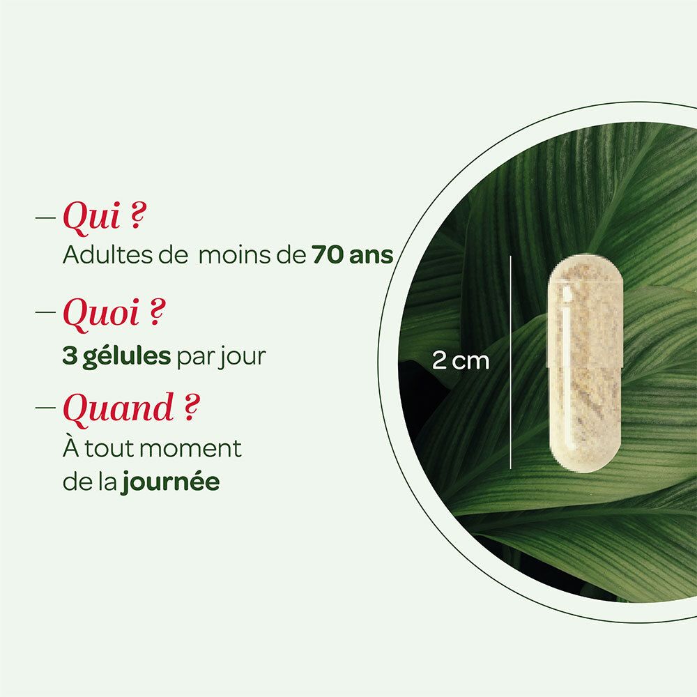 Gélule à côté du texte : Qui, Quoi, Quand. La gélule mesure 2 cm.