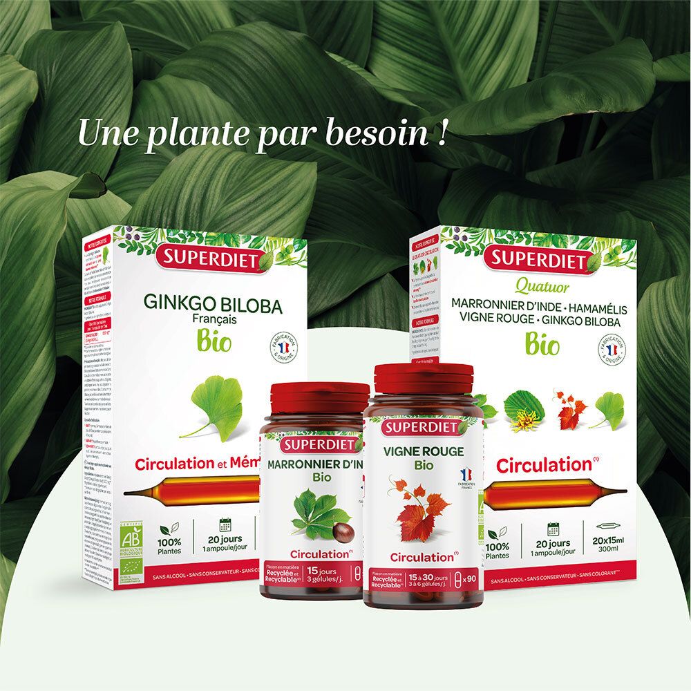 SUPER DIET Marronnier d'inde Bio Circulation