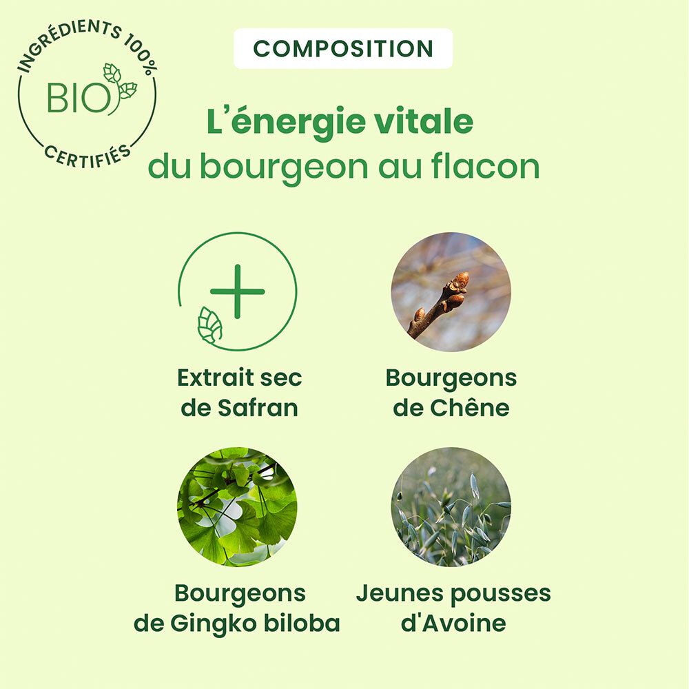 Composition : Extrait de safran, bourgeons de chêne, bourgeons de Ginkgo biloba, jeunes pousses d'avoine. Bio.