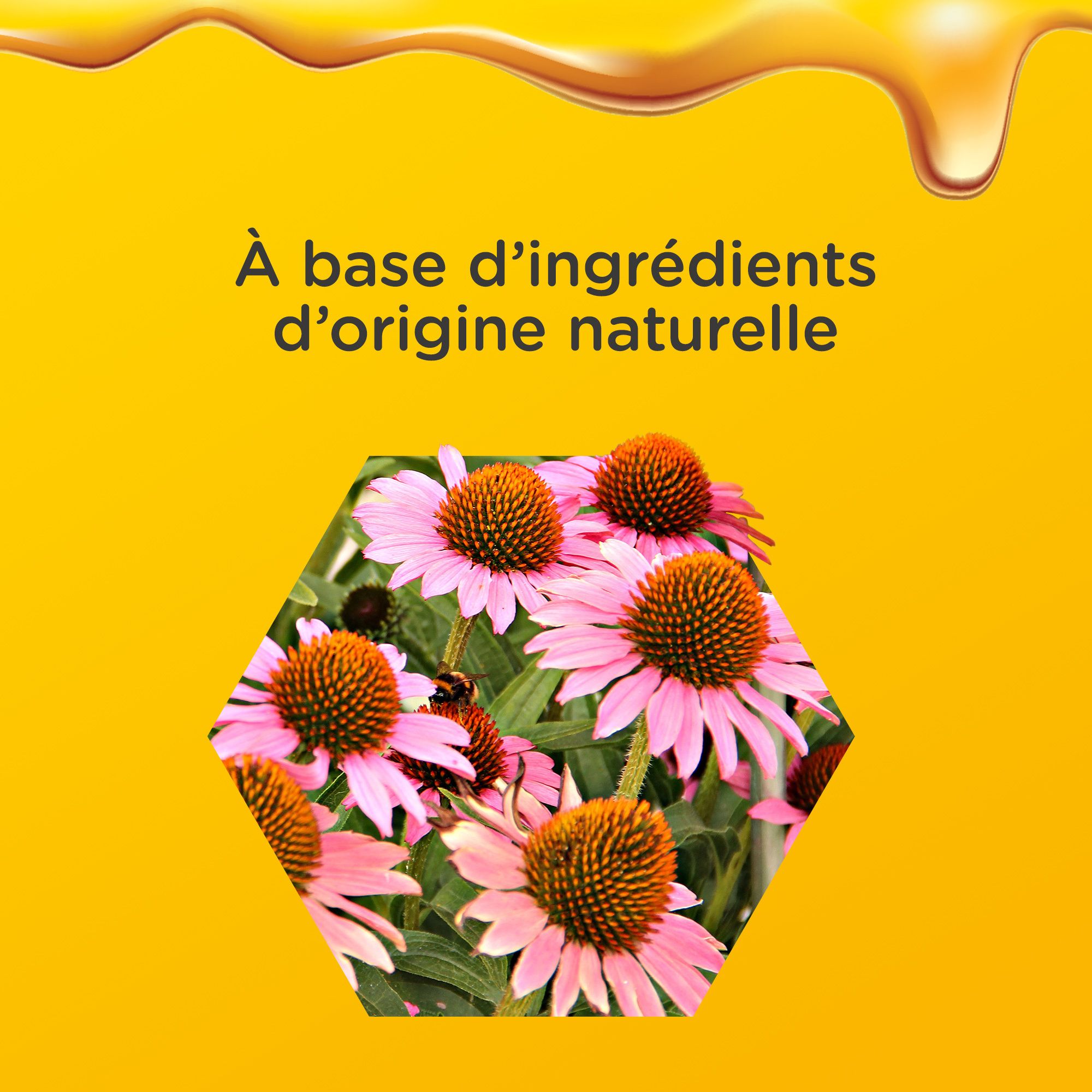 Fleurs dans hexagone. Texte: À base d'ingrédients naturels. Fond jaune.