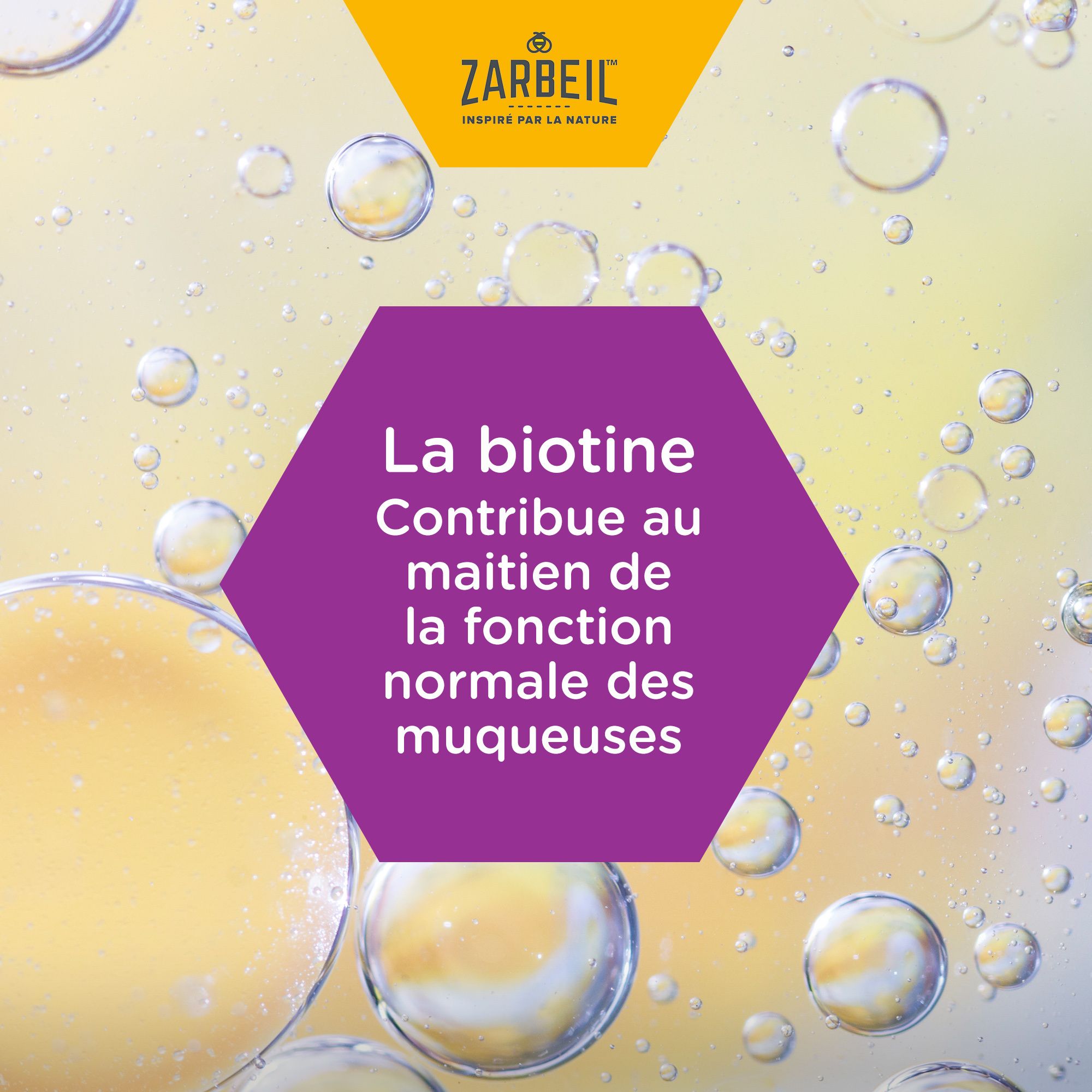 Texte dans hexagone violet: La biotine contribue au maintien des muqueuses. Fond jaune.