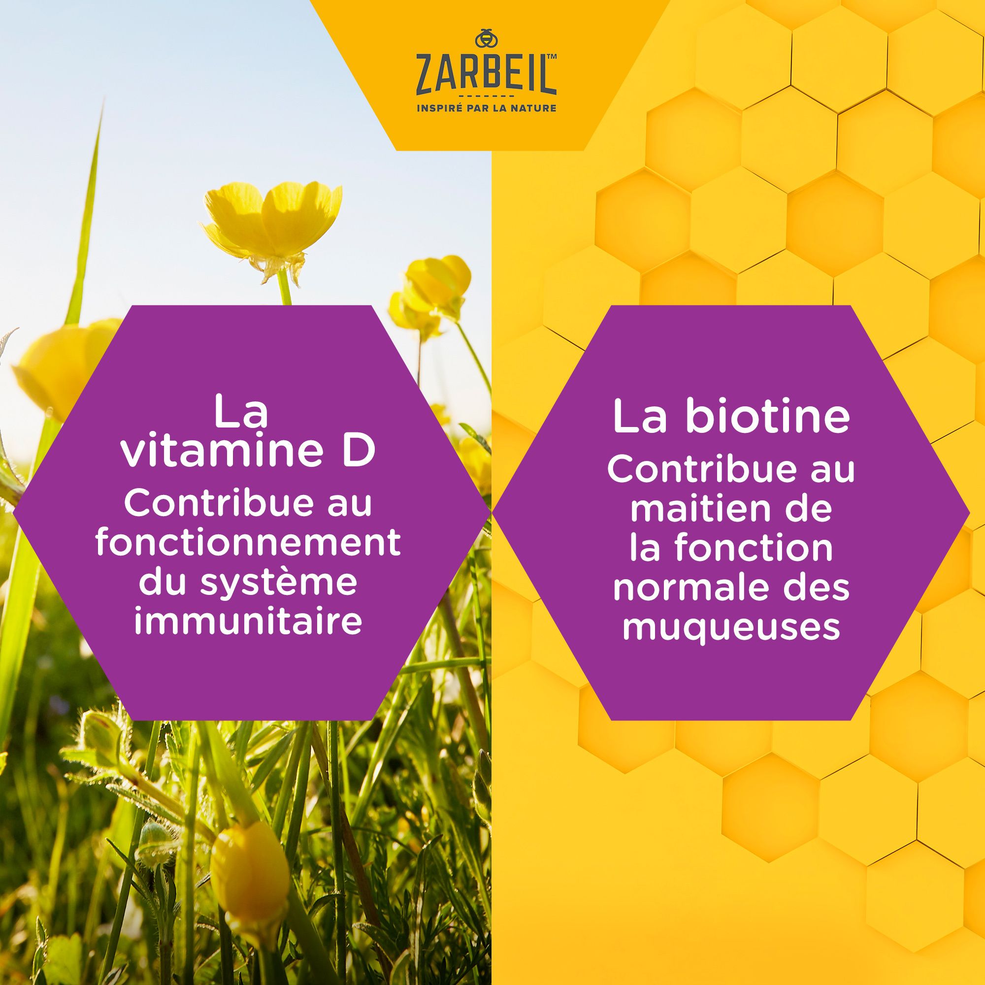 Deux hexagones violets. Texte: Vitamine D pour le système immunitaire. Biotine pour les muqueuses. Fond jaune.
