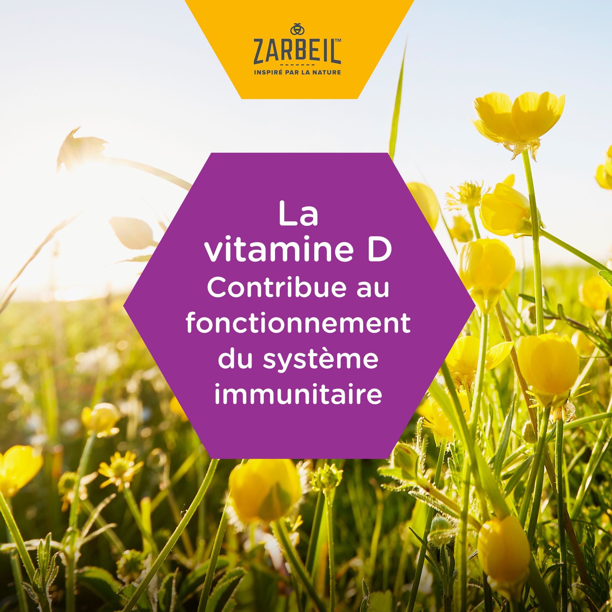 Fleurs et fond jaune. Texte: La vitamine D contribue au fonctionnement du système immunitaire.