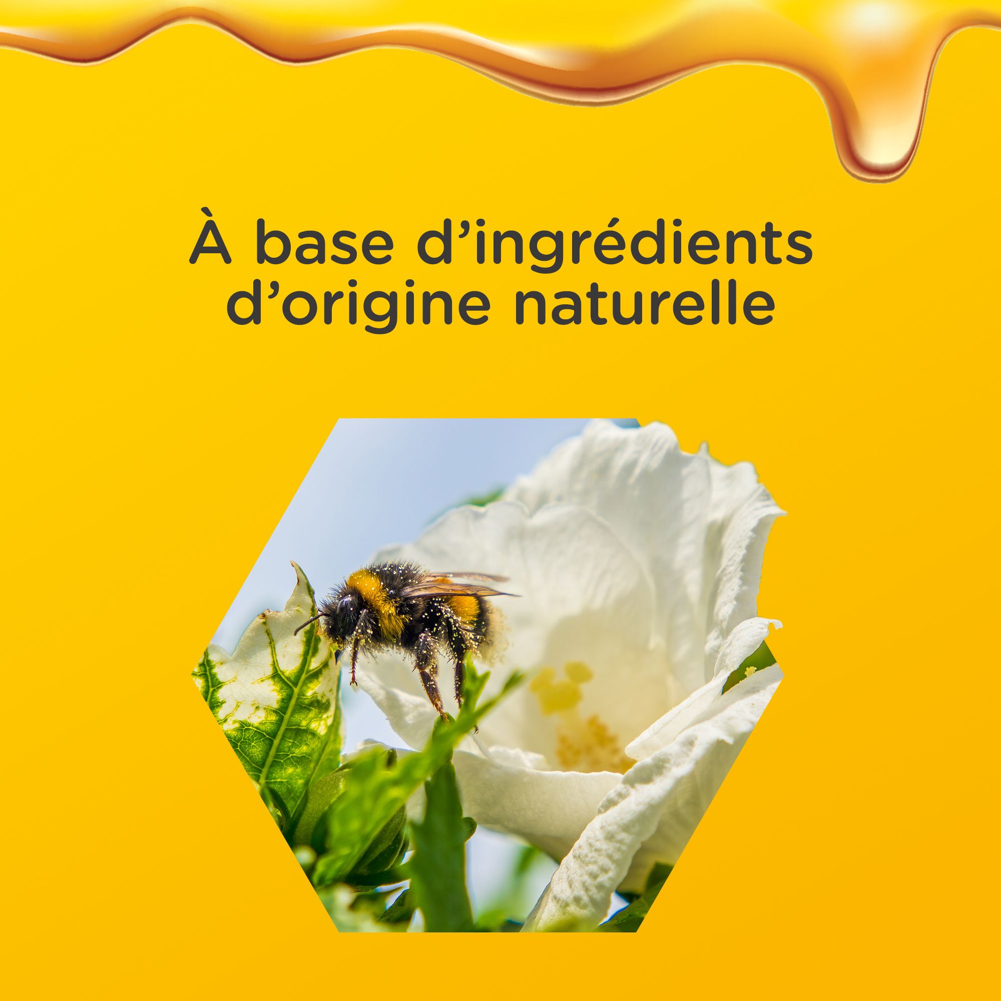 Abeille sur fleur. Texte: À base d'ingrédients d'origine naturelle.