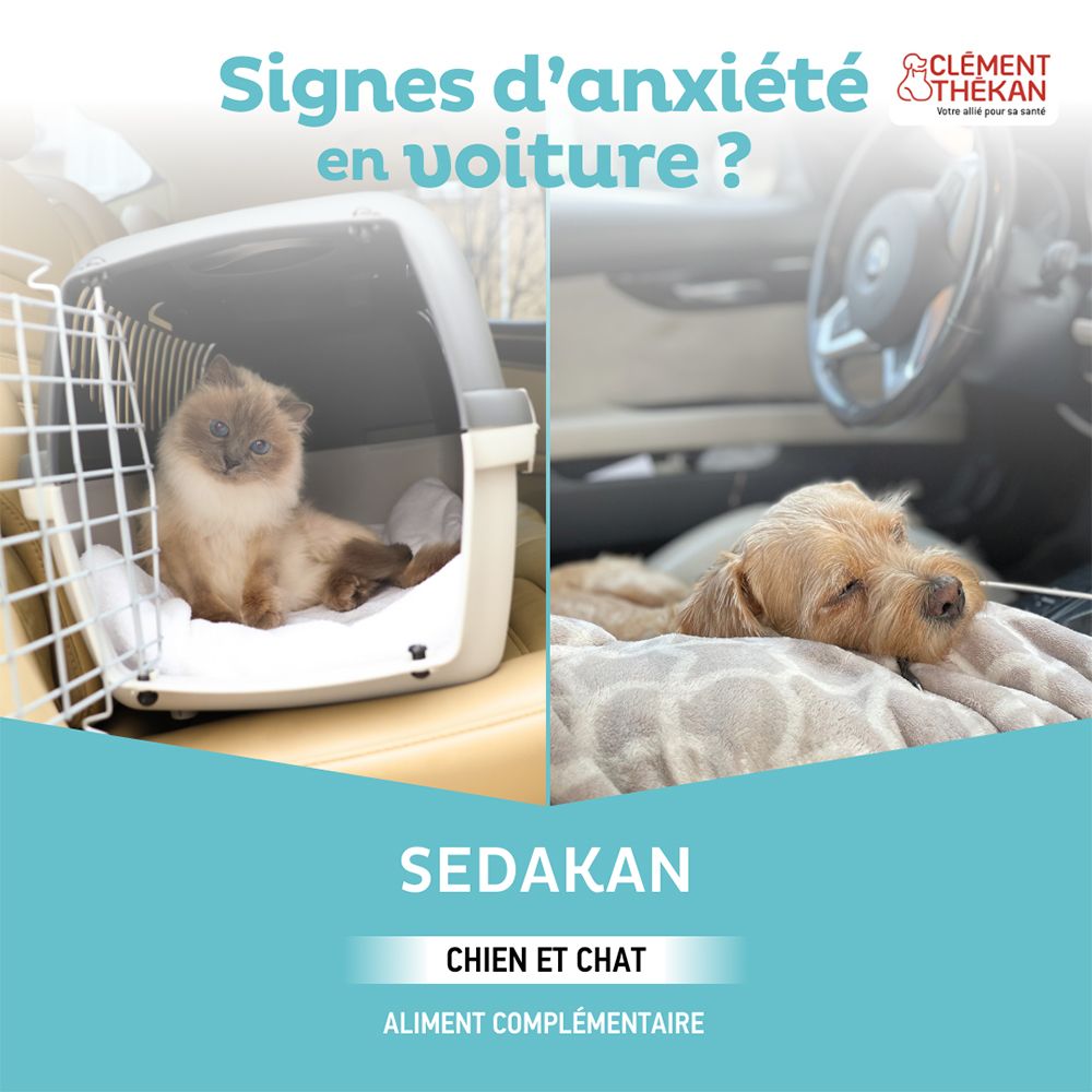 Publicité pour Sedakan. Chat dans cage de transport, chien dans voiture. Texte : Signes d'anxiété en voiture ? Sedakan.