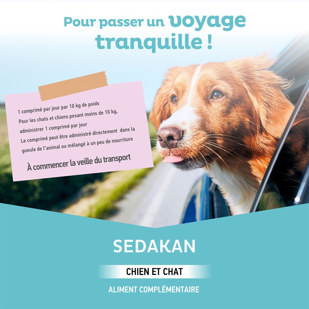 Chien regardant par la fenêtre de la voiture. Texte : Pour un voyage tranquille ! Sedakan, pour chiens et chats. Complément alimentaire.