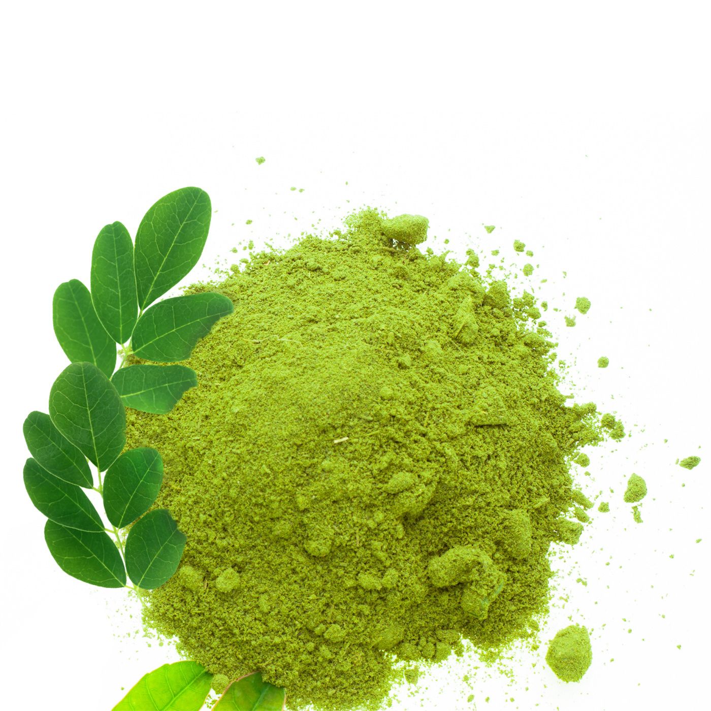 amoseeds POUDRE DE MORINGA BIO