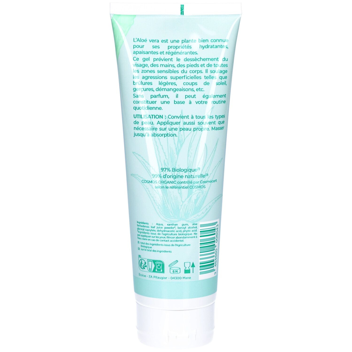 Dos du tube de gel ECOLOE Aloe Vera. Texte en français. Illustration d'aloe vera. Certification bio. Tube blanc avec bouchon à vis.