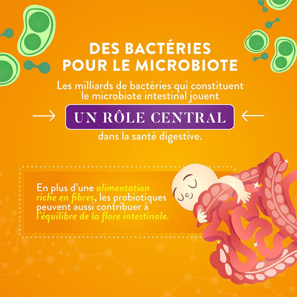 Infographie sur les bactéries pour le microbiome. Un bébé dort. Illustration de l'intestin.