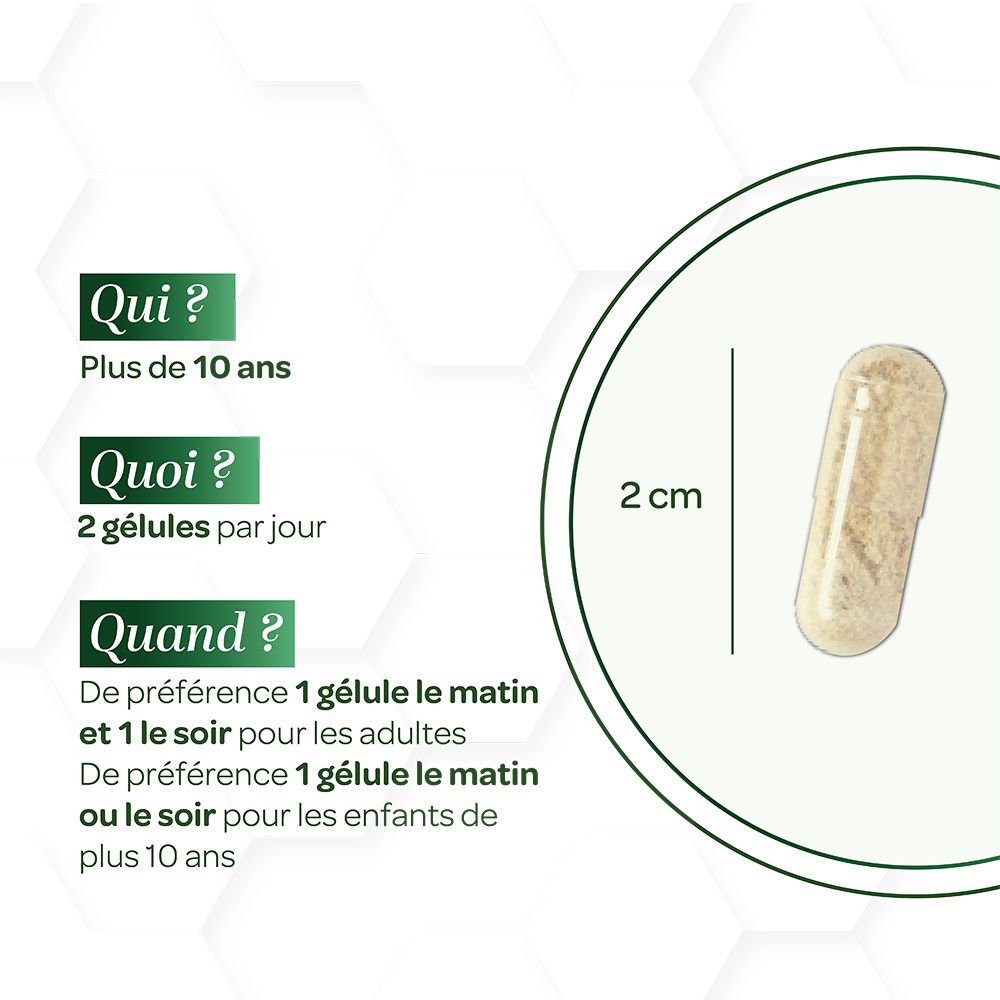 Gélule à côté du texte. Qui ? Plus de 10 ans. Quoi ? 2 gélules par jour. Quand ? 1 gélule matin et soir pour adultes.