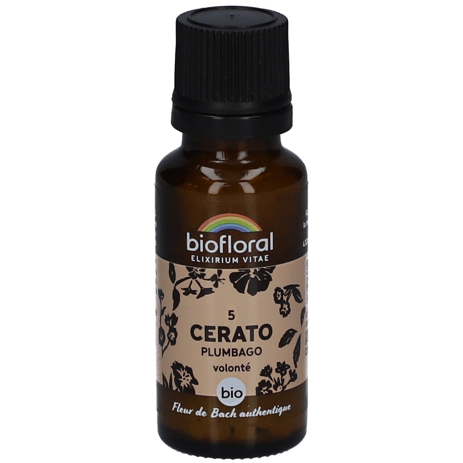 BIOFLORAL Cerato - Plumbago - Bio