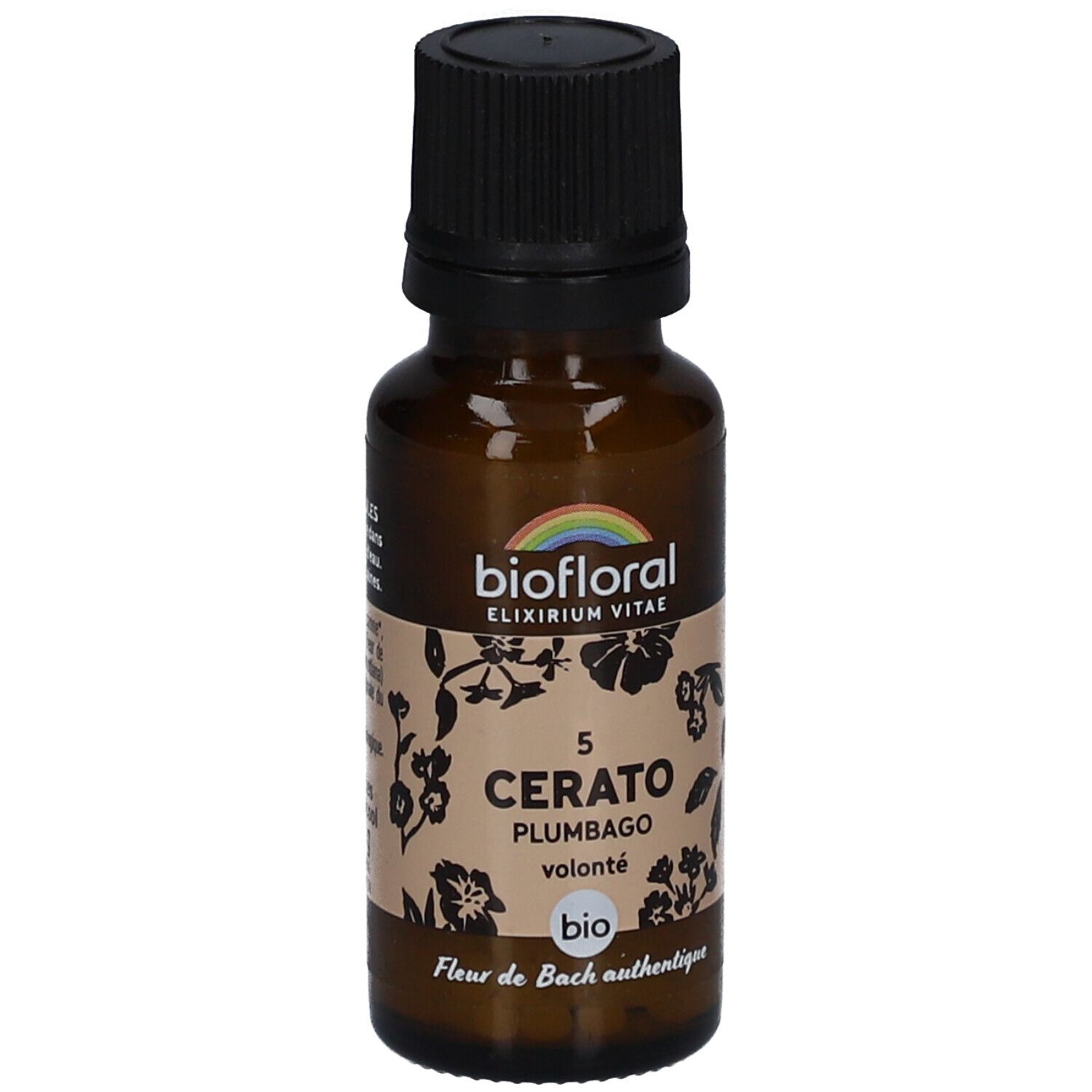 BIOFLORAL Cerato - Plumbago - Bio