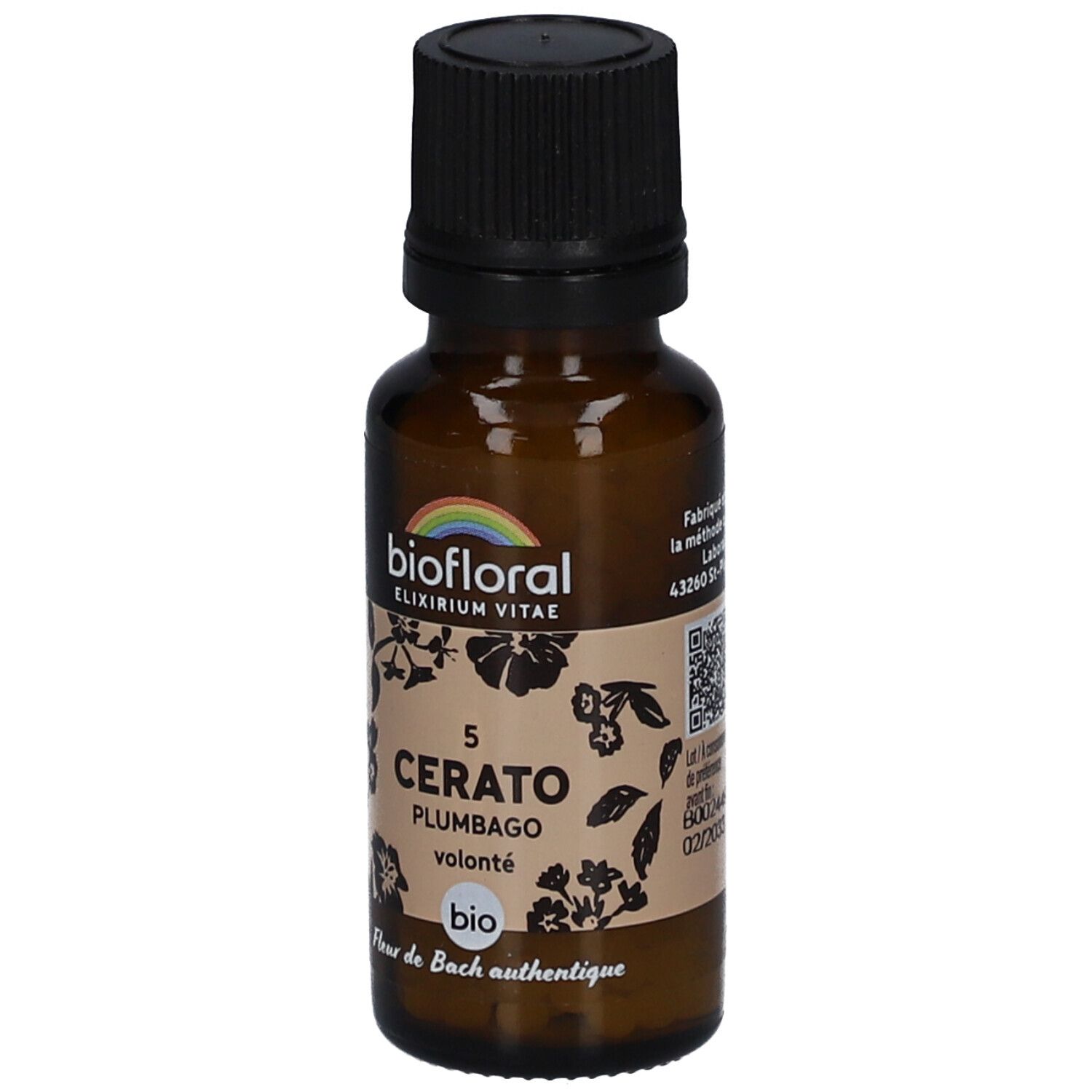 BIOFLORAL Cerato - Plumbago - Bio