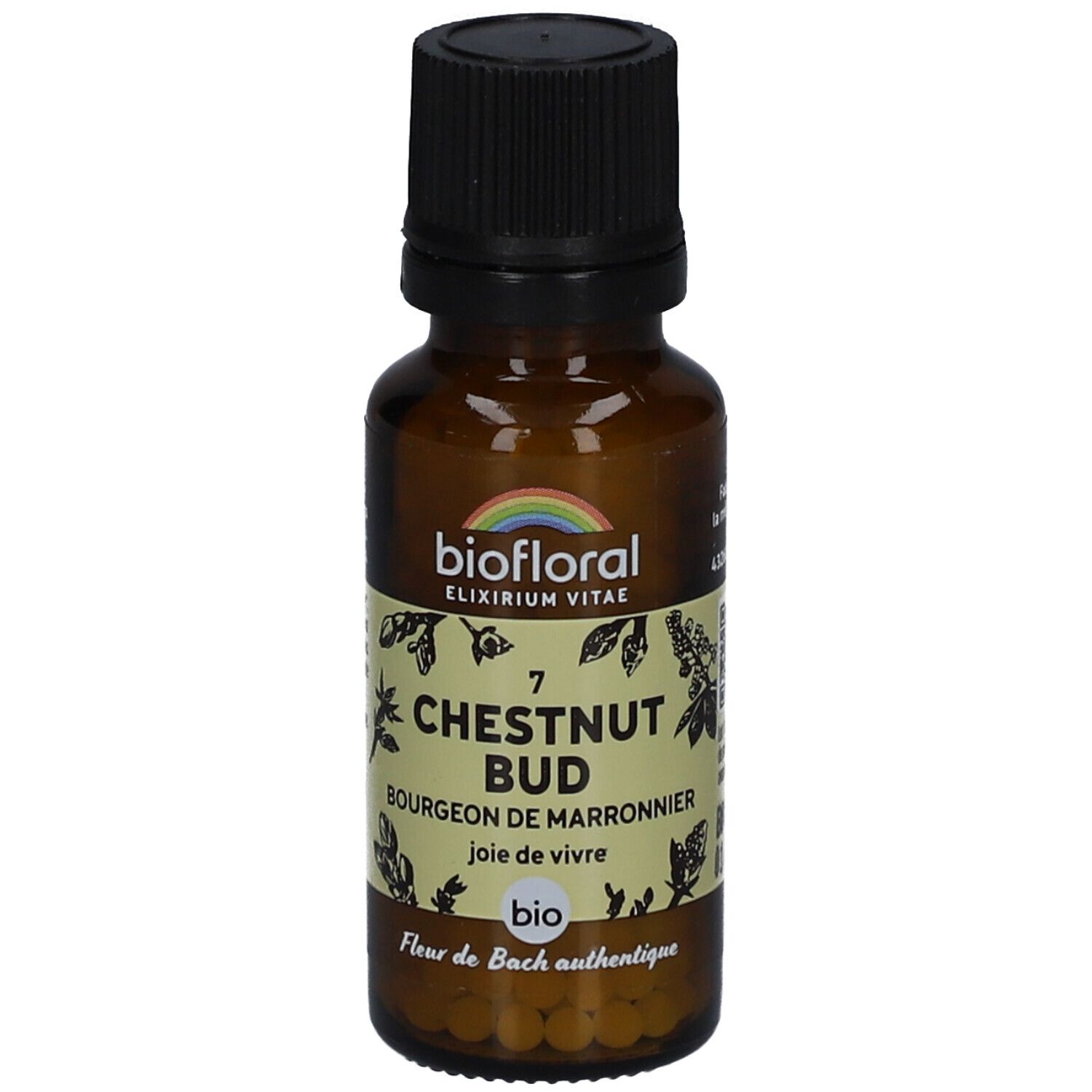 BIOFLORAL Chestnut Bud - Bourgeon de Marronnier - Bio