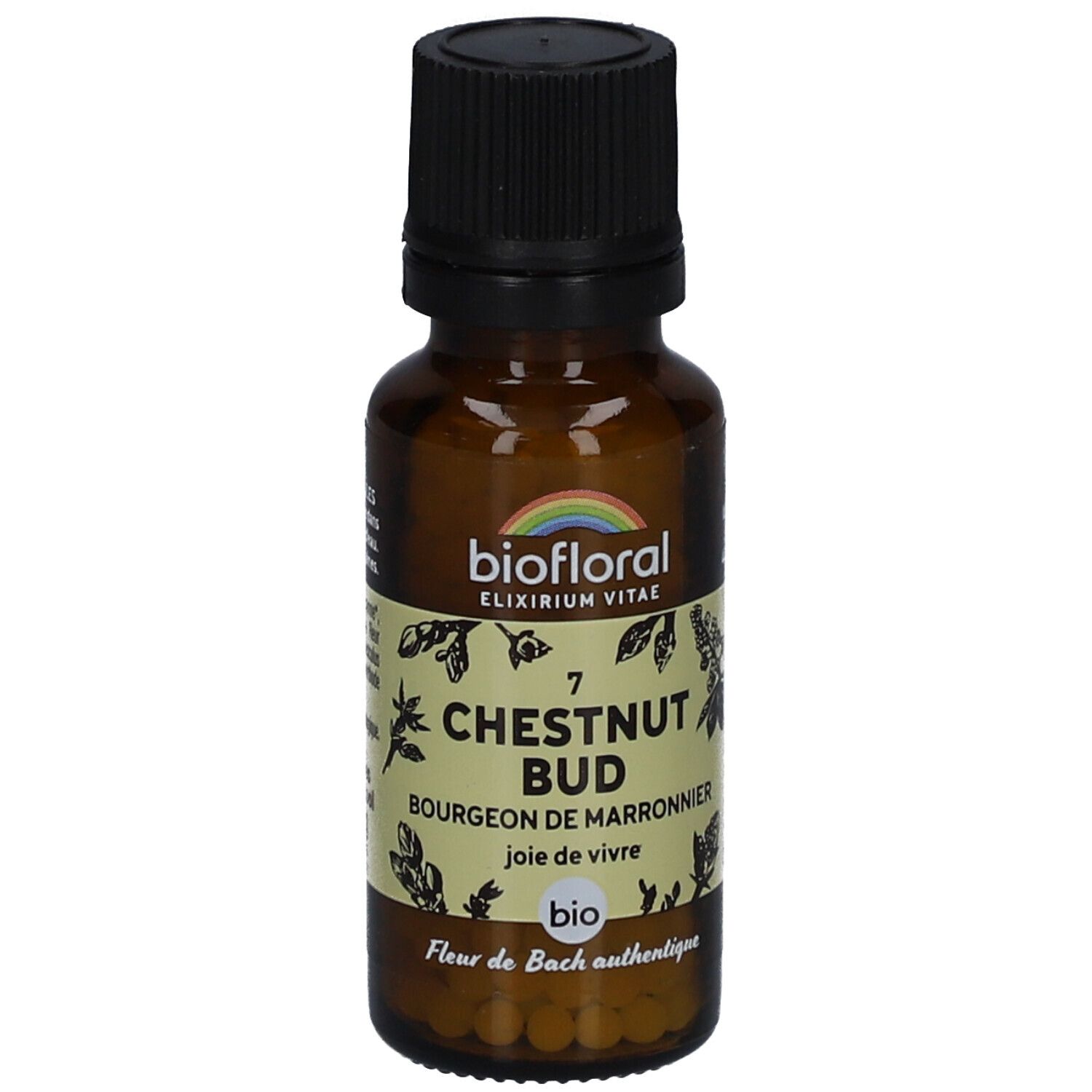 BIOFLORAL Chestnut Bud - Bourgeon de Marronnier - Bio