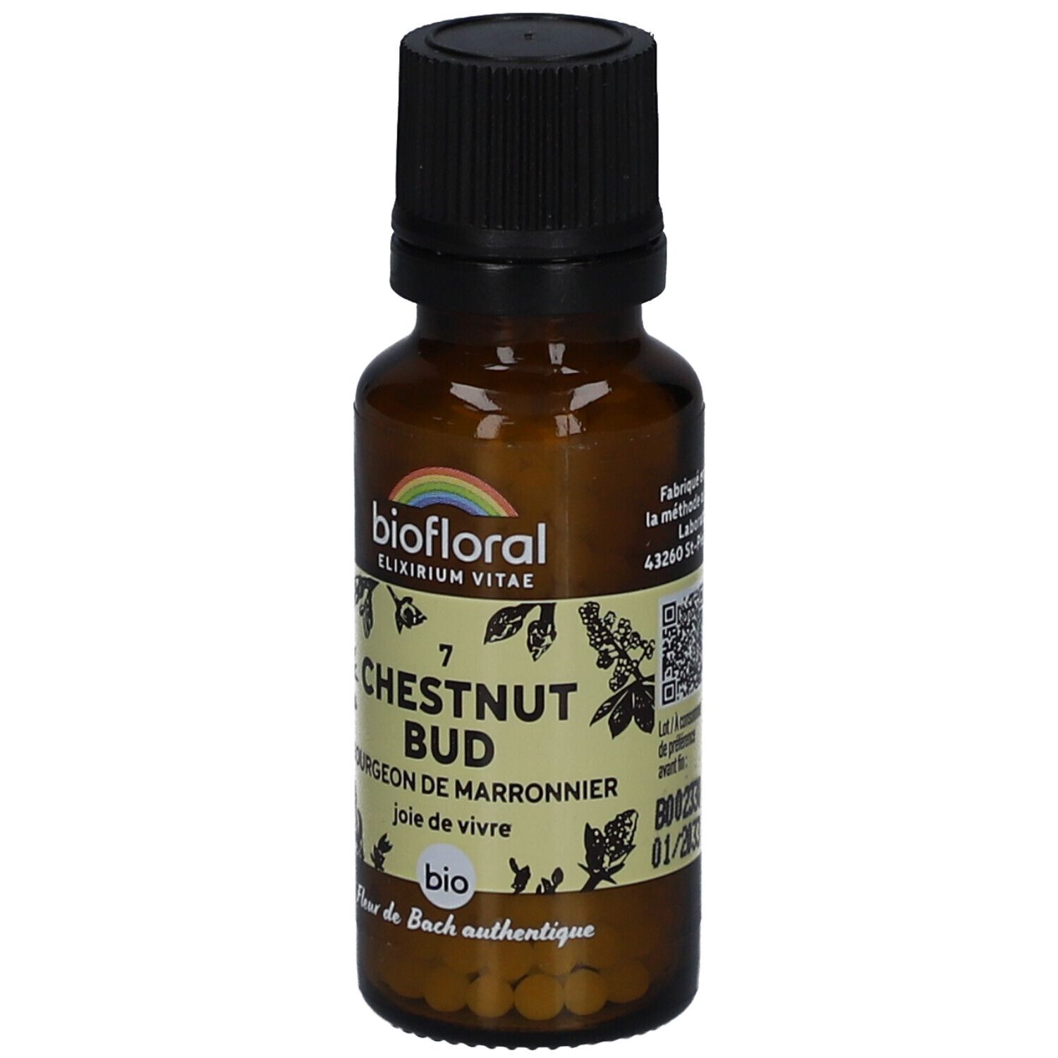 BIOFLORAL Chestnut Bud - Bourgeon de Marronnier - Bio