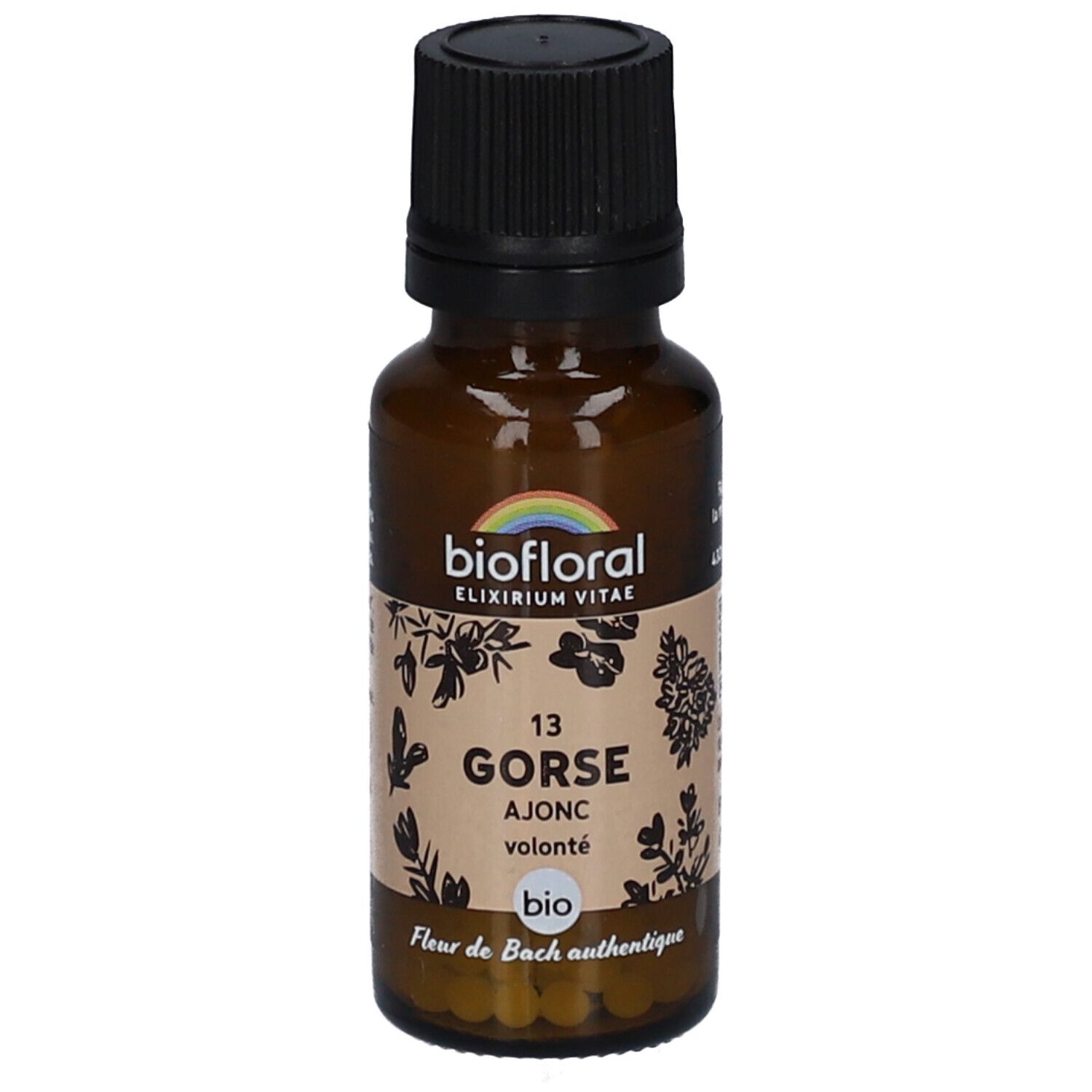 BIOFLORAL 13 Gorse - Ajonc