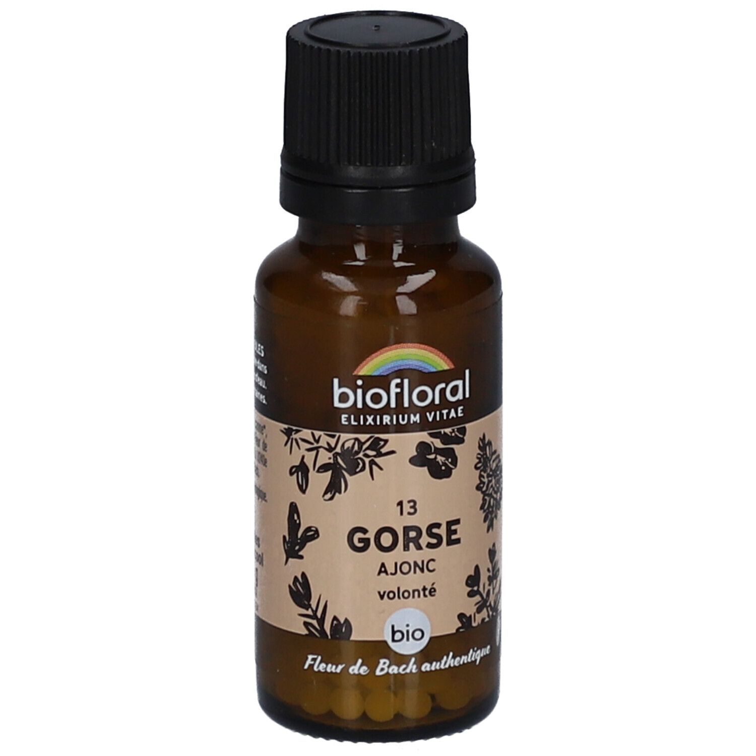 BIOFLORAL 13 Gorse - Ajonc