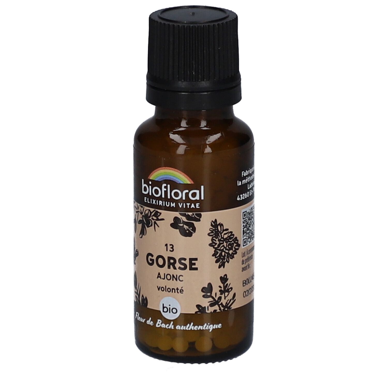 BIOFLORAL 13 Gorse - Ajonc