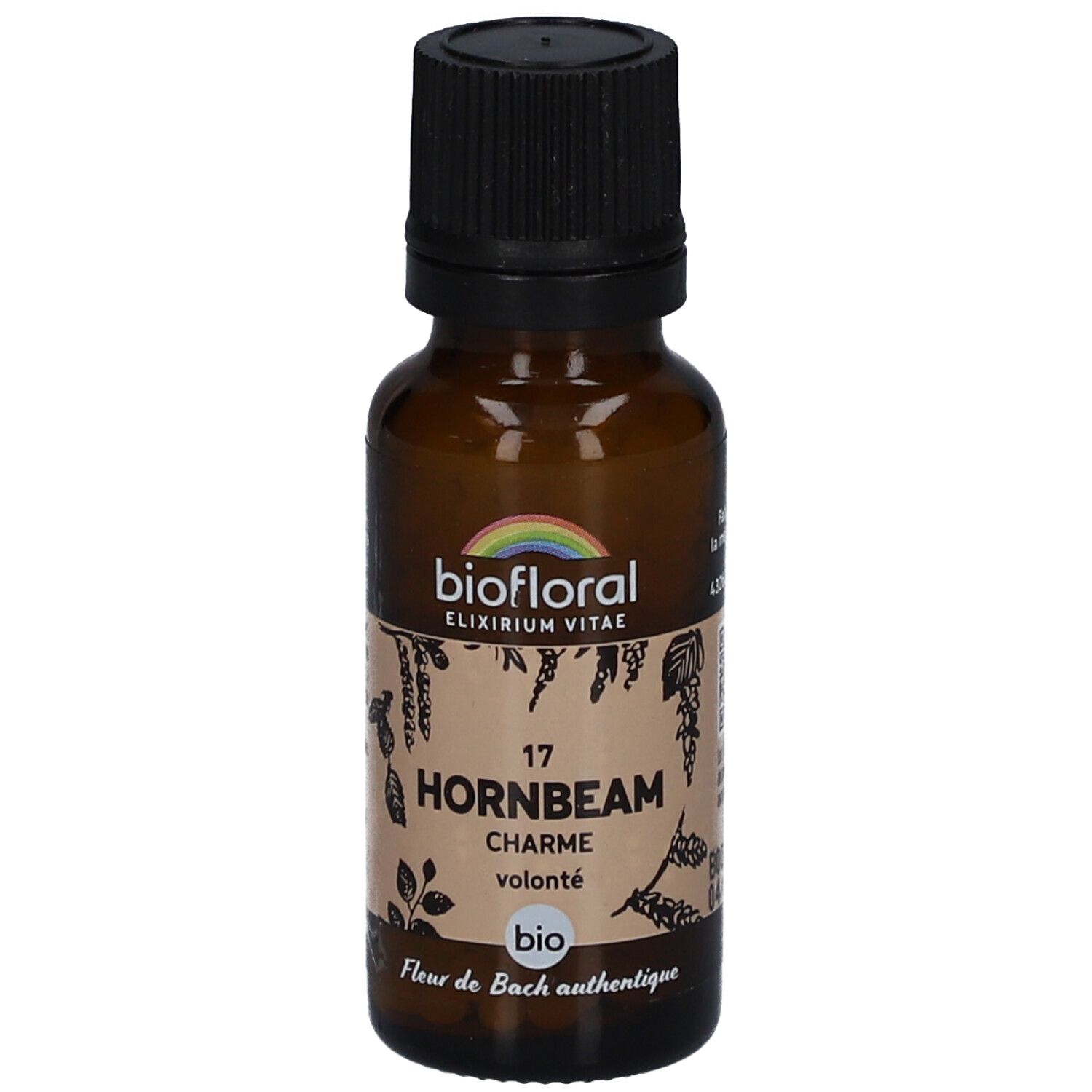 BIOFLORAL Hornbeam - Charme - Bio