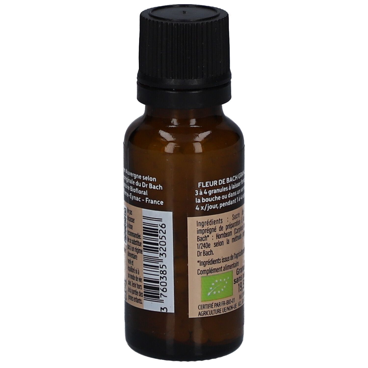 BIOFLORAL Hornbeam - Charme - Bio