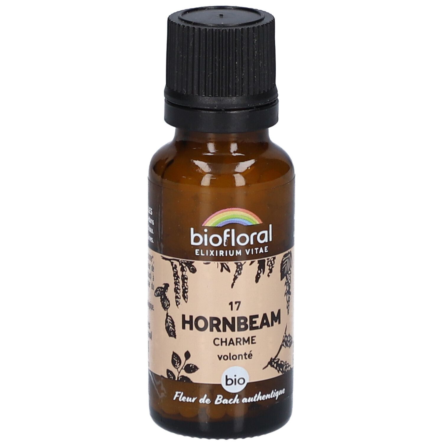 BIOFLORAL Hornbeam - Charme - Bio