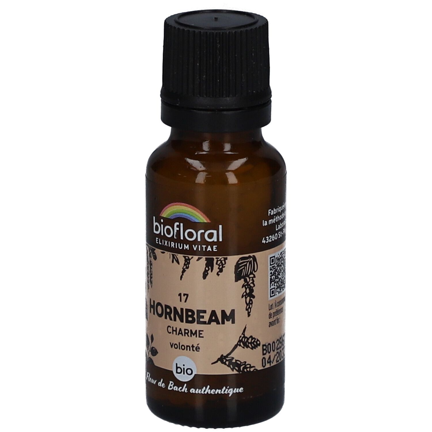 BIOFLORAL Hornbeam - Charme - Bio