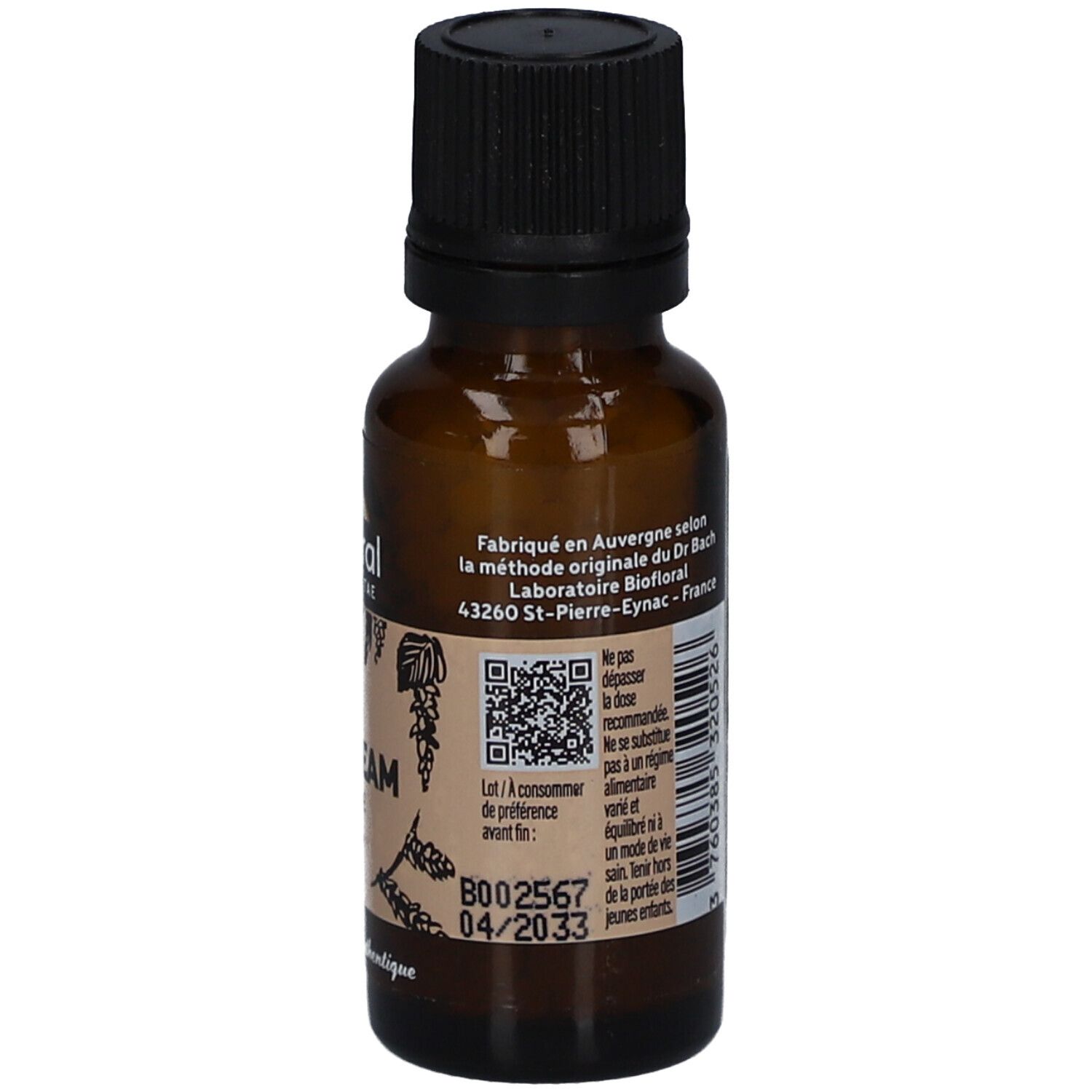 BIOFLORAL Hornbeam - Charme - Bio
