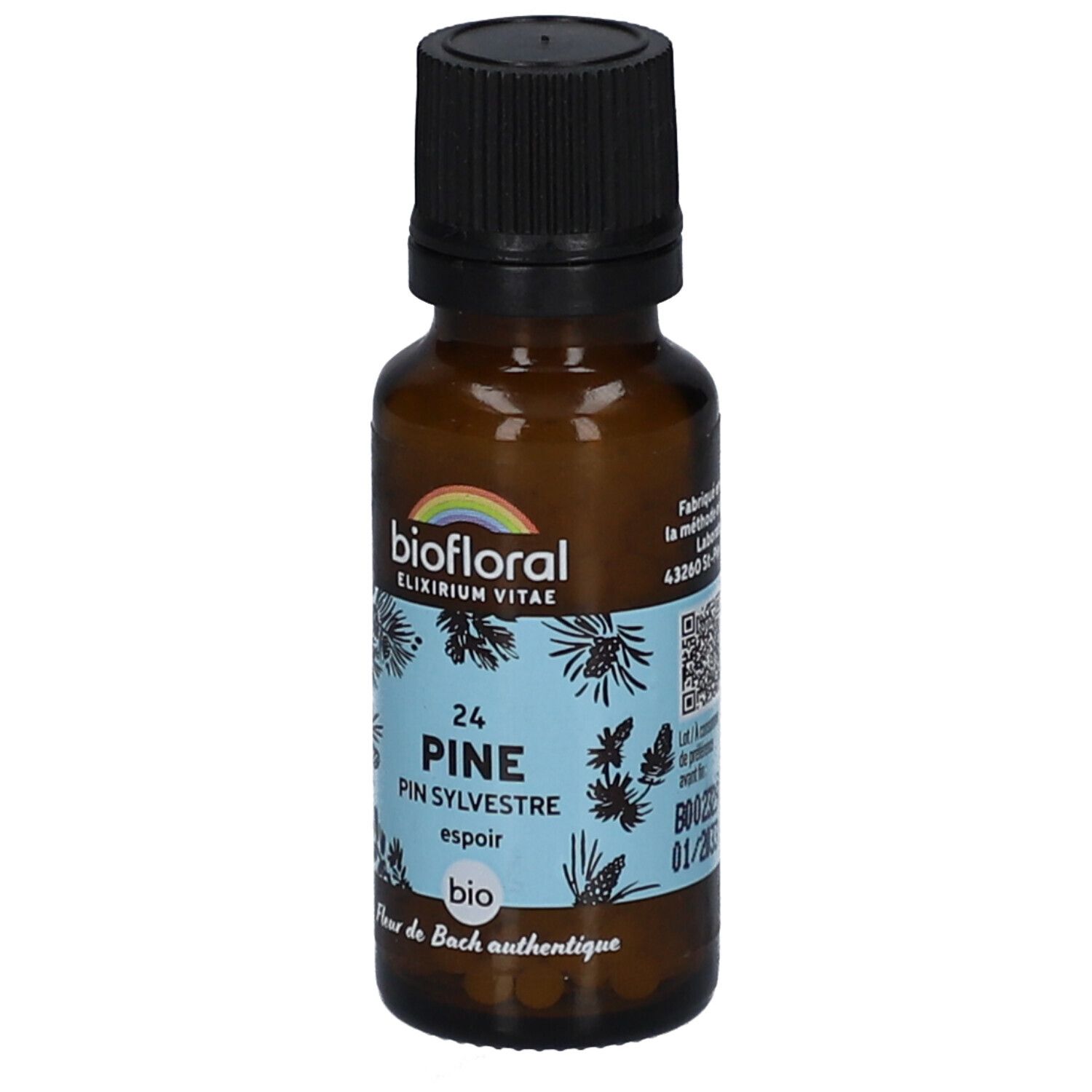 BIOFLORAL 24 Pine - Pin Sylvestre