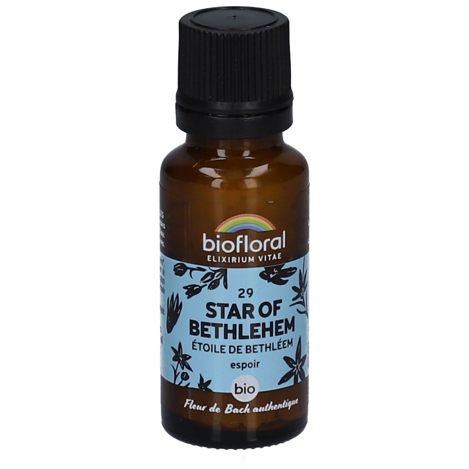 BIOFLORAL 29 Star Of Bethlehem - Etoile de Bethléem