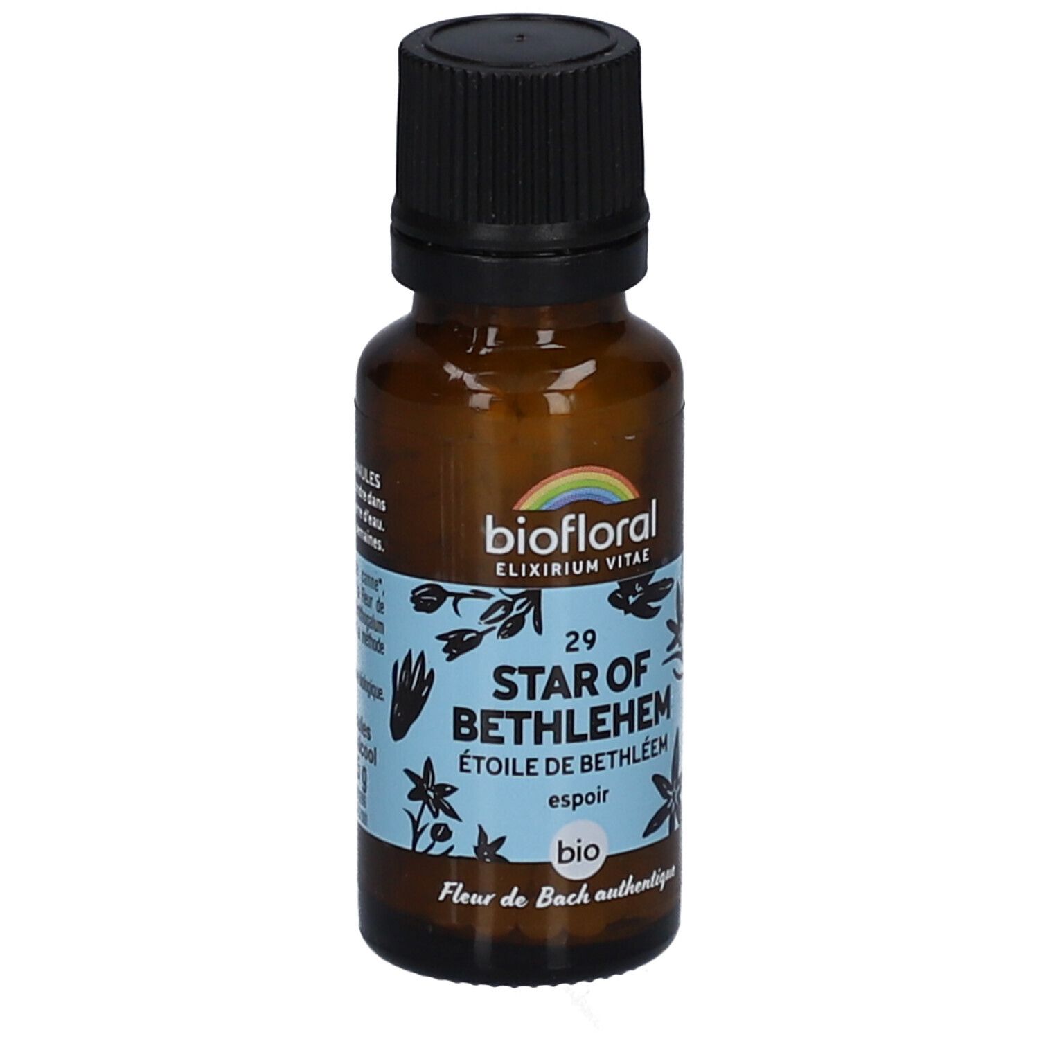 BIOFLORAL 29 Star Of Bethlehem - Etoile de Bethléem