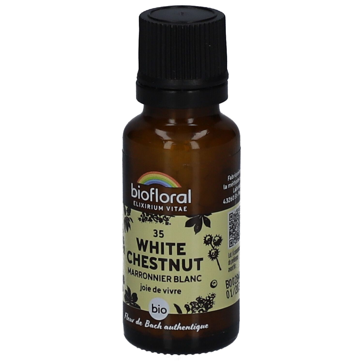 BIOFLORAL 35 White Chestnut - Marronnier Blanc