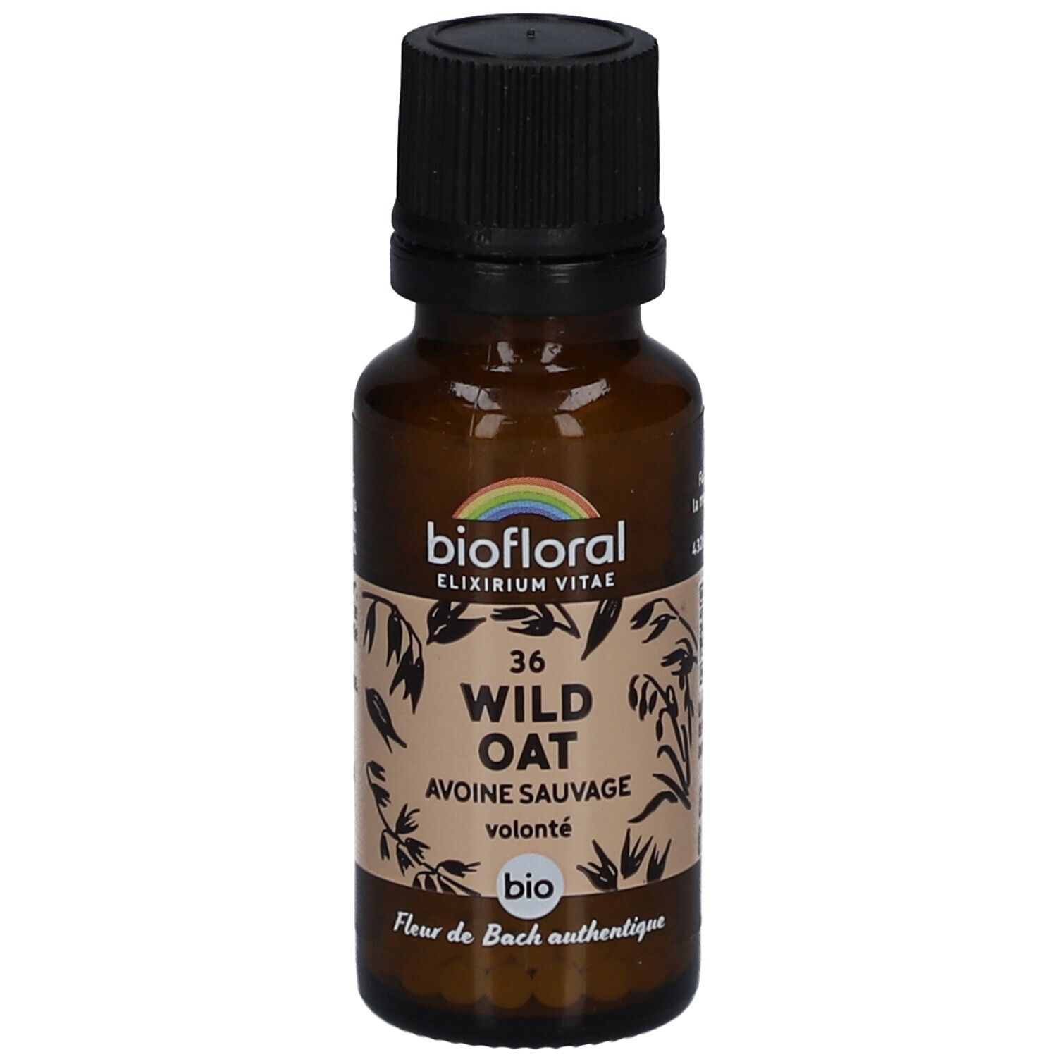 BIOFLORAL Wild Oat - Avoine Sauvage - Bio