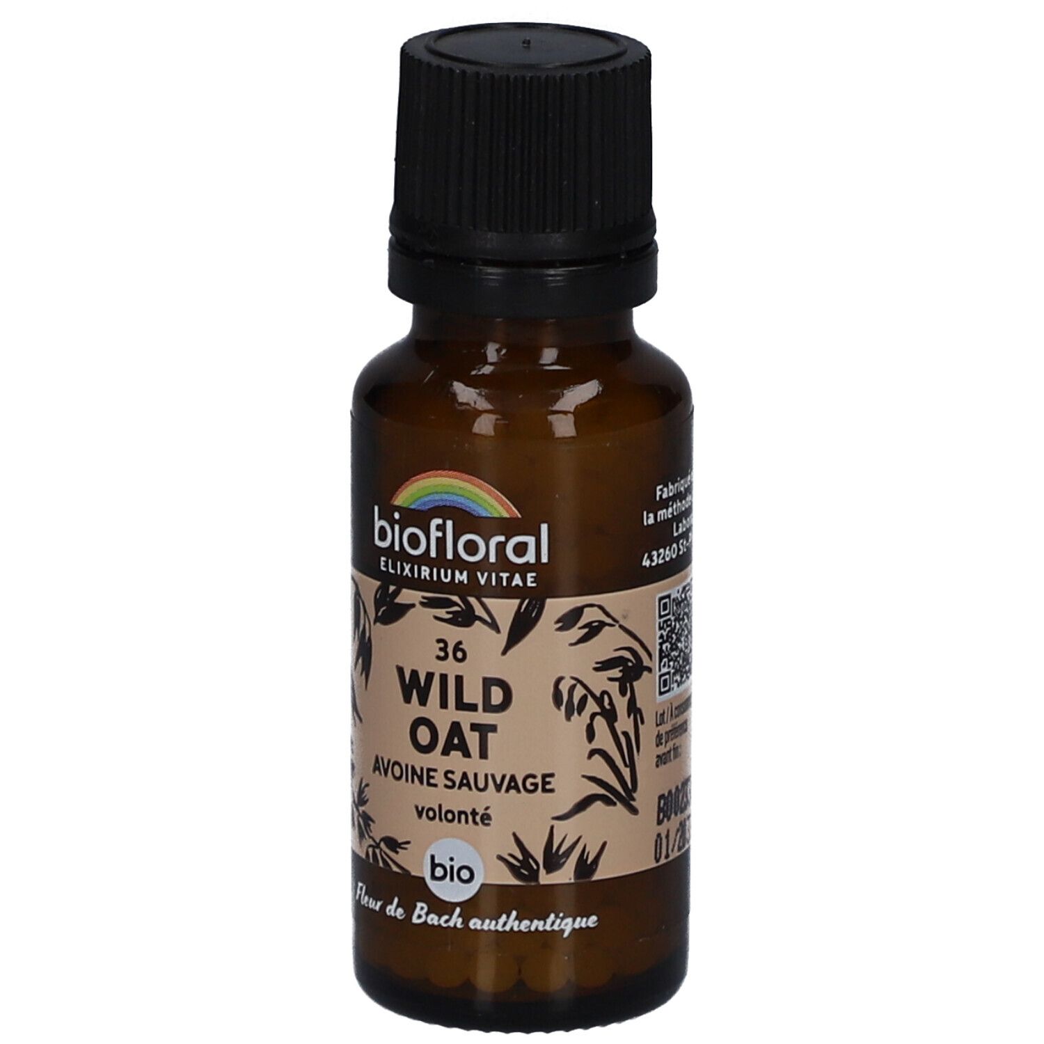 BIOFLORAL Wild Oat - Avoine Sauvage - Bio