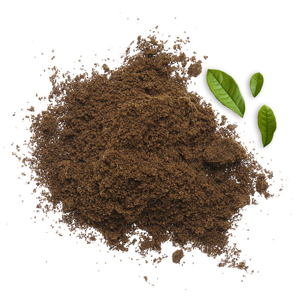 Amoseeds Thé Hojicha Japonais Bio en Poudre
