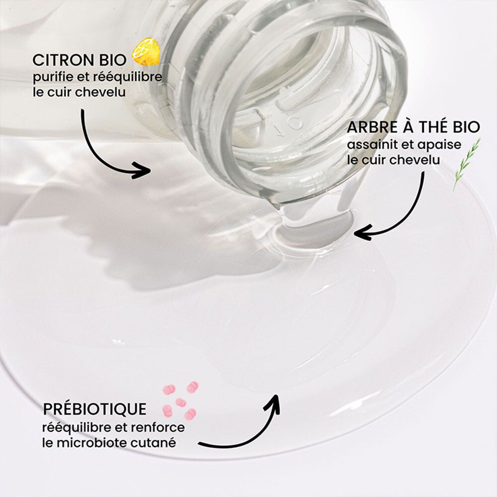 PULPE DE VIE - SORBET GIVRE Shampoing purifiant 400 mL